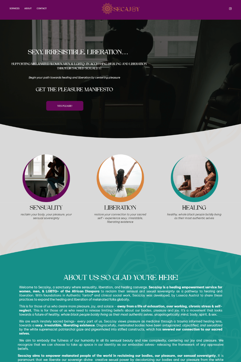 Image that features the homepage of SecaJoy.com