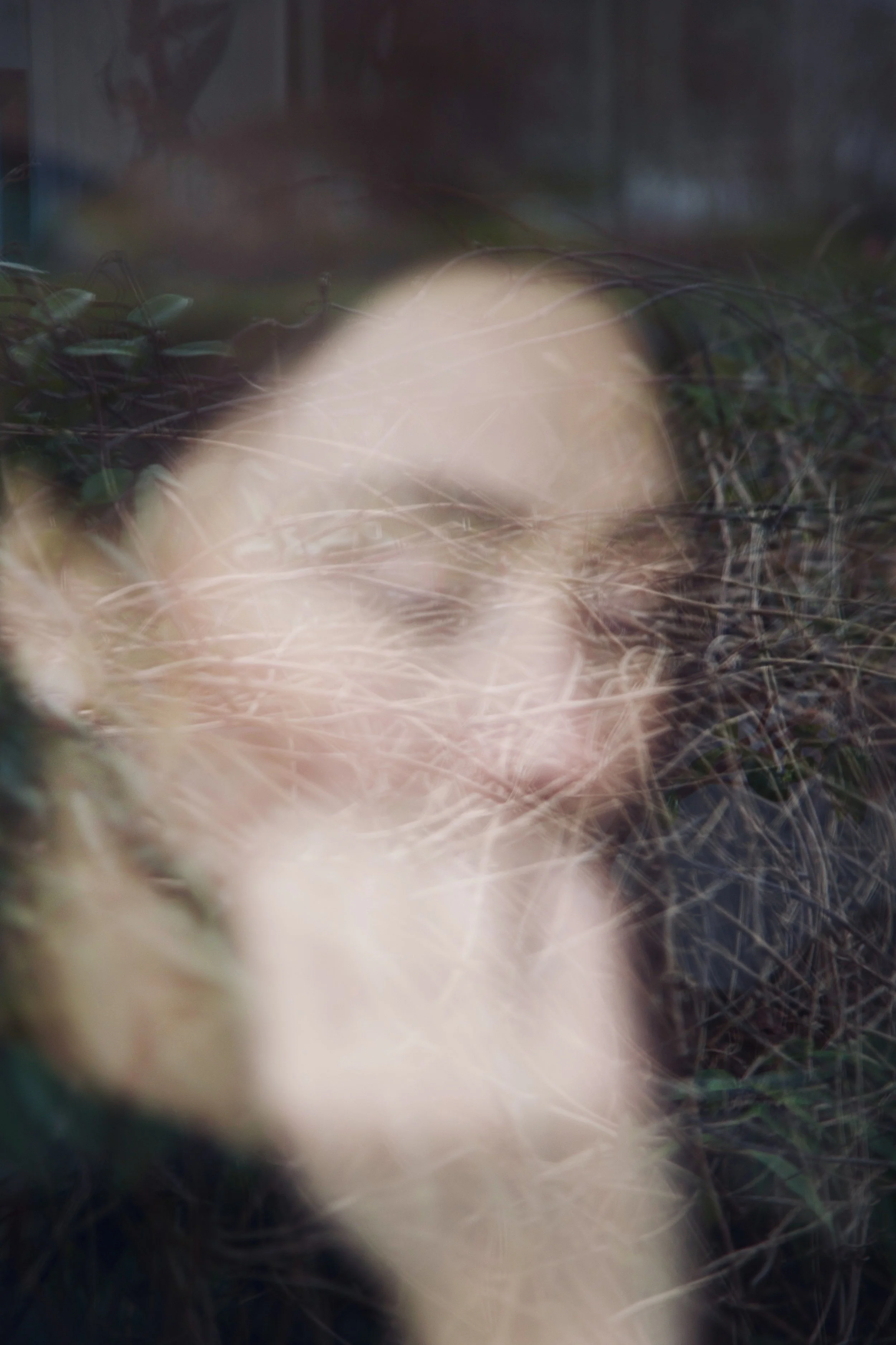 StephanieLeon-6 2.jpg