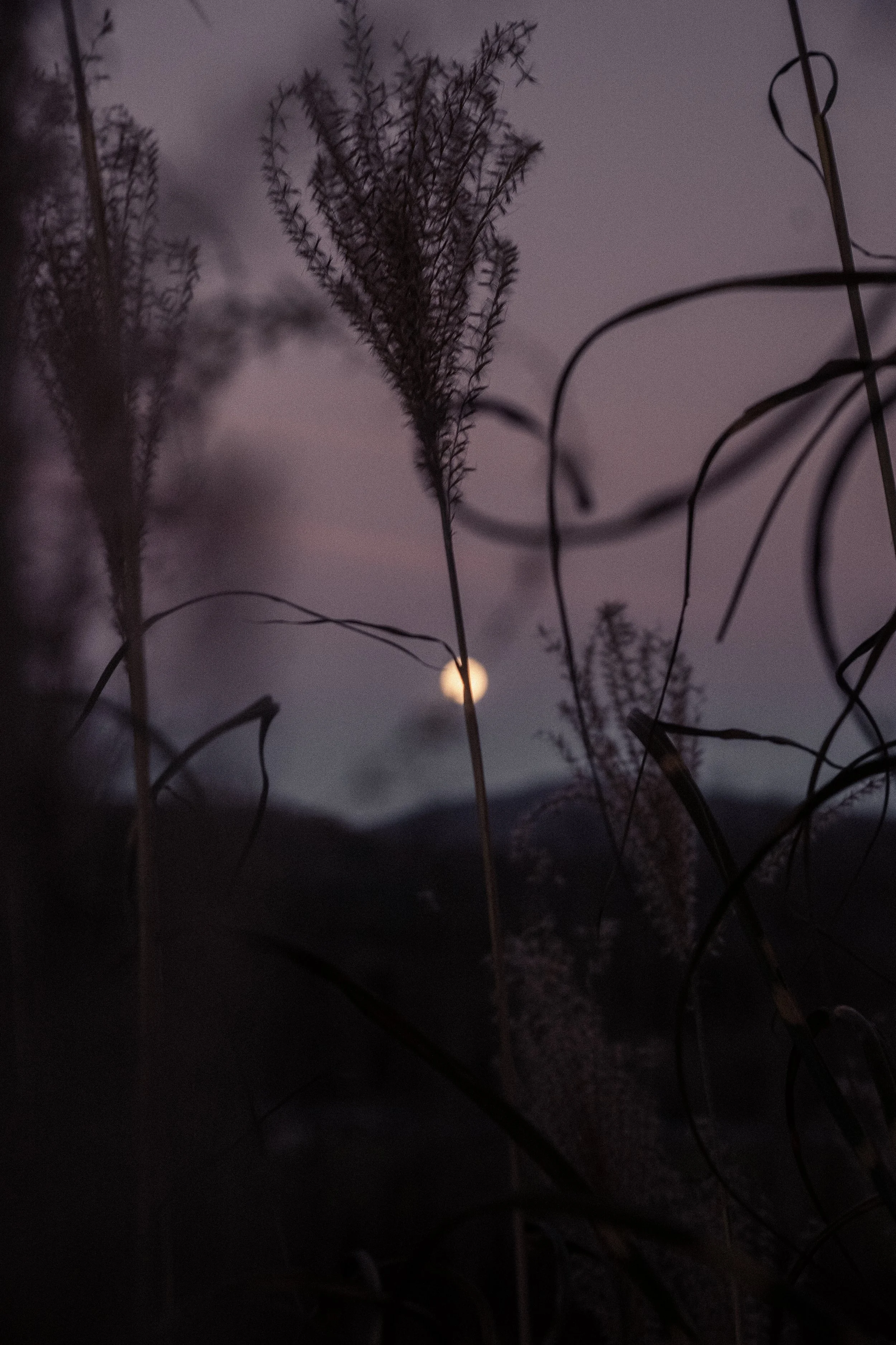 Moon-03.jpg