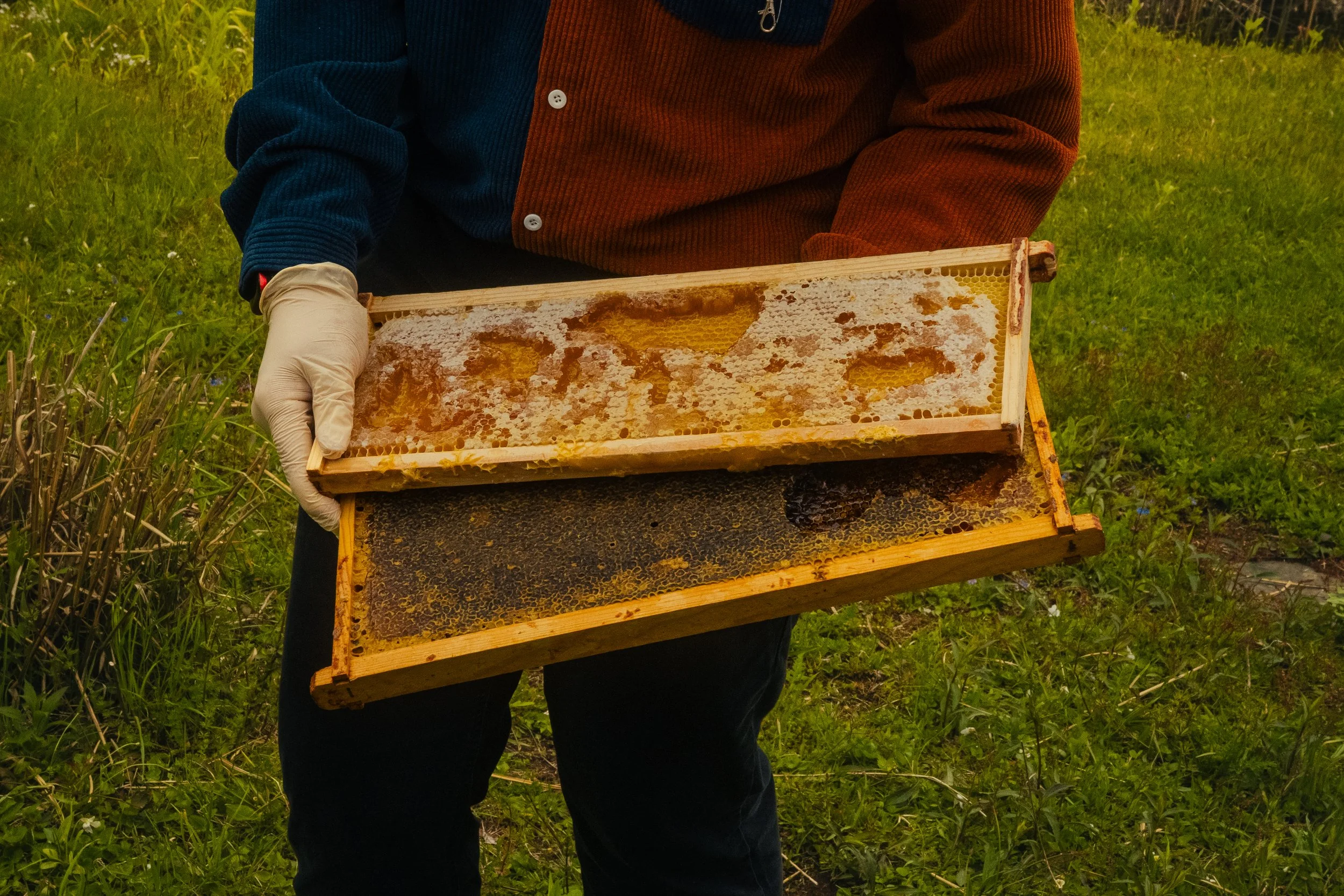 Honey & Hive-17.jpg
