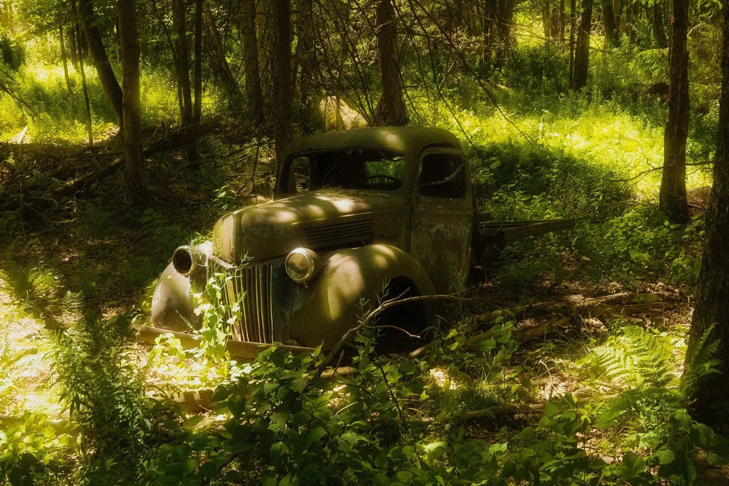 INTO THE WOODS