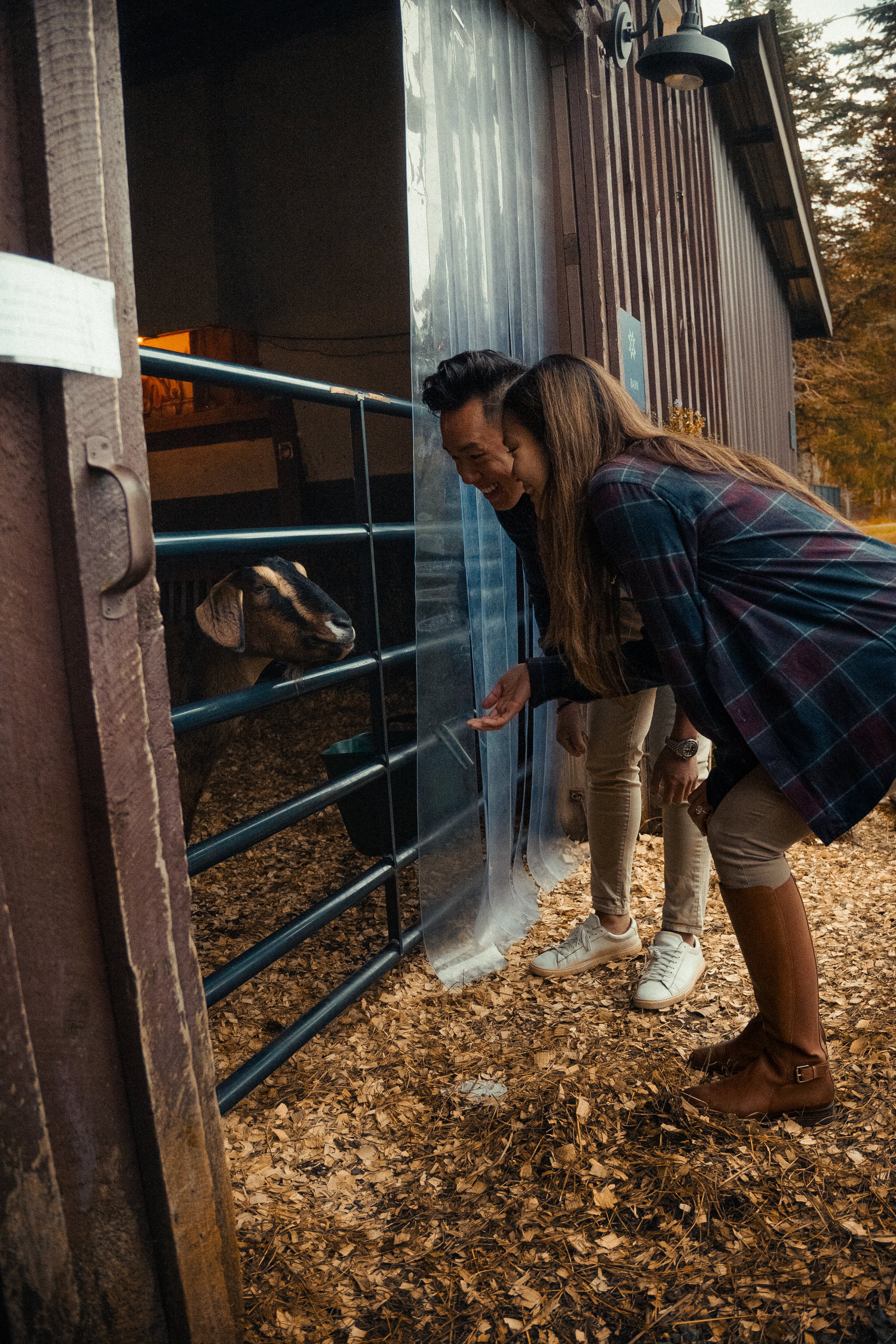 Jonathan + Patty-133.jpg