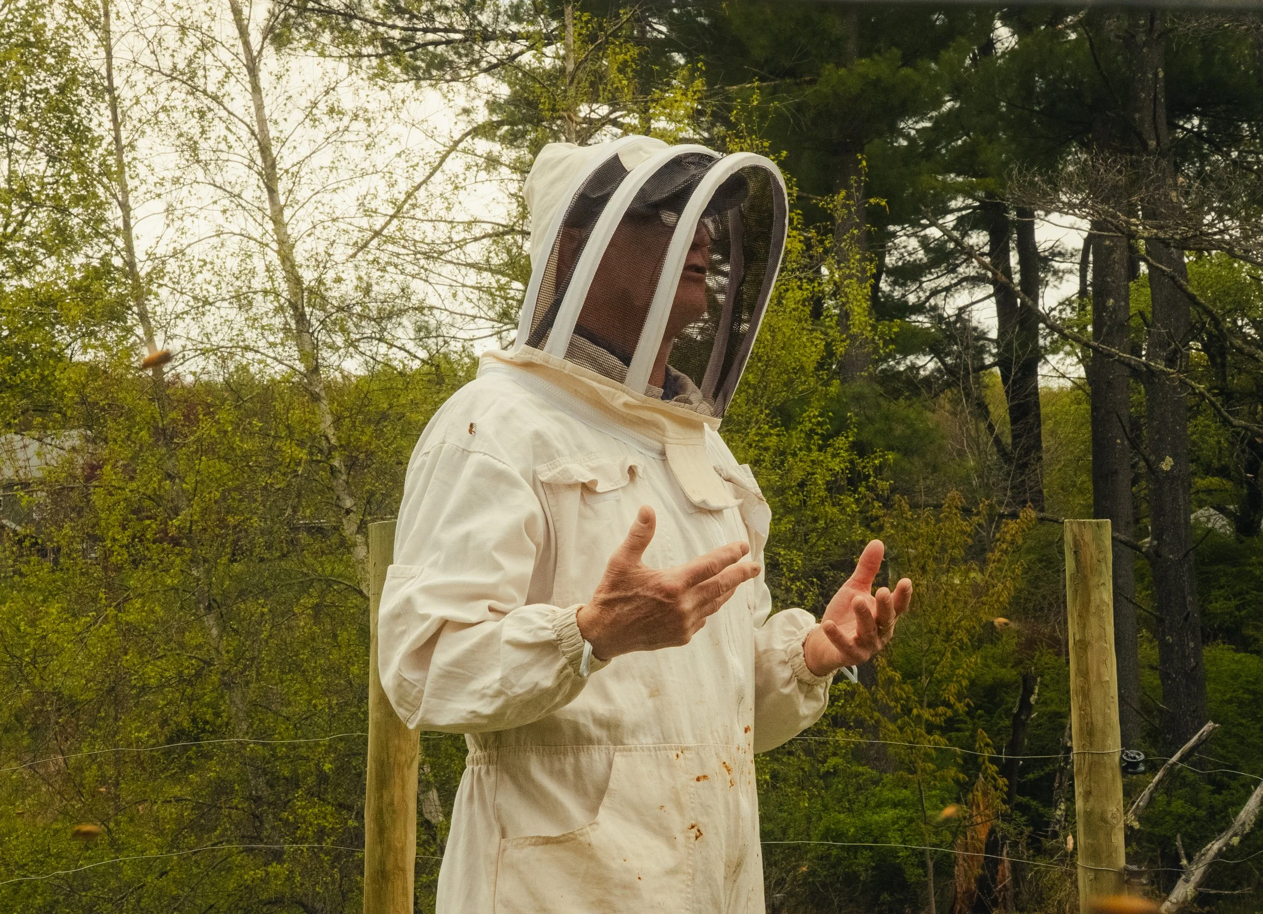 Honey & Hive-16.jpg