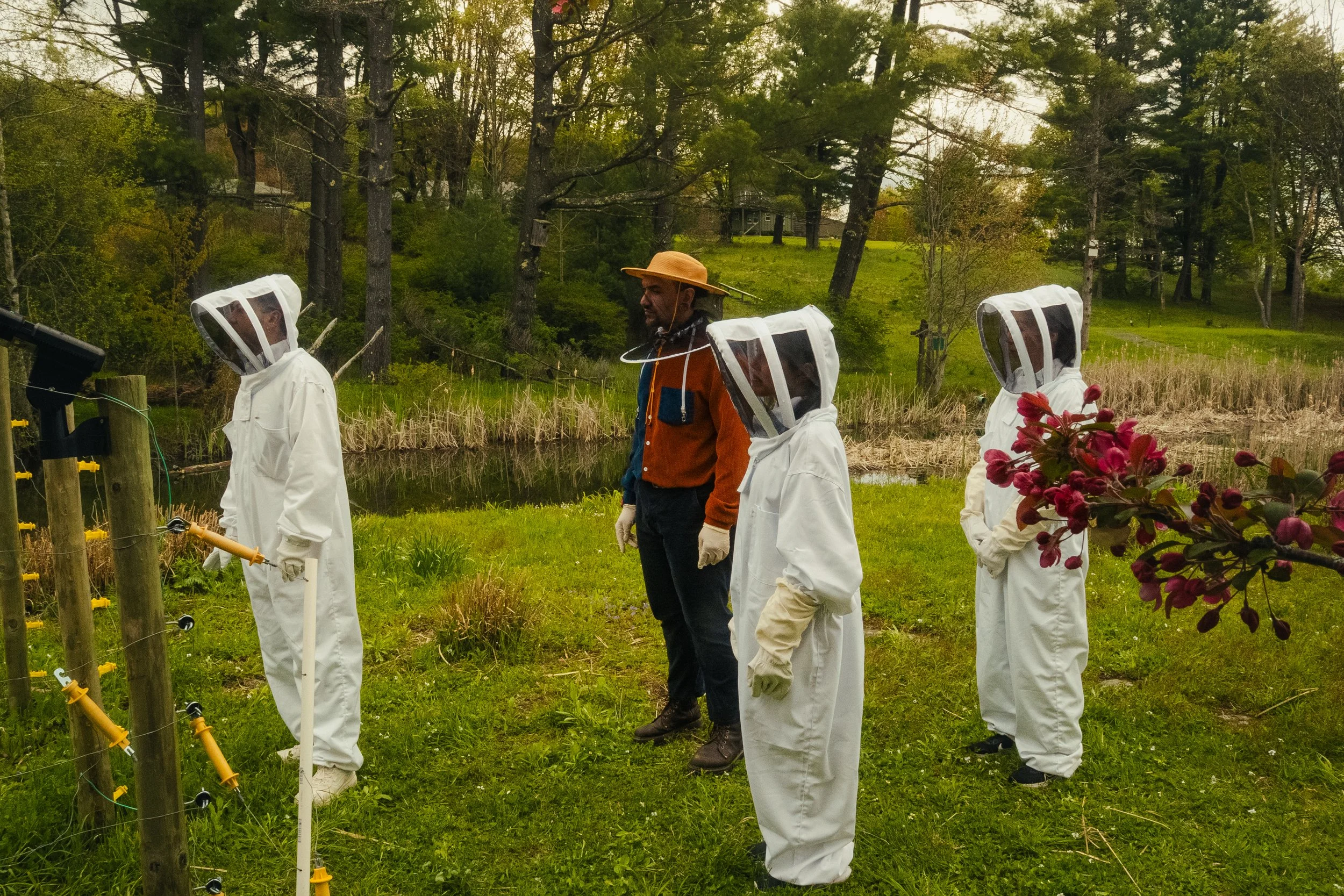 Honey & Hive-15.jpg