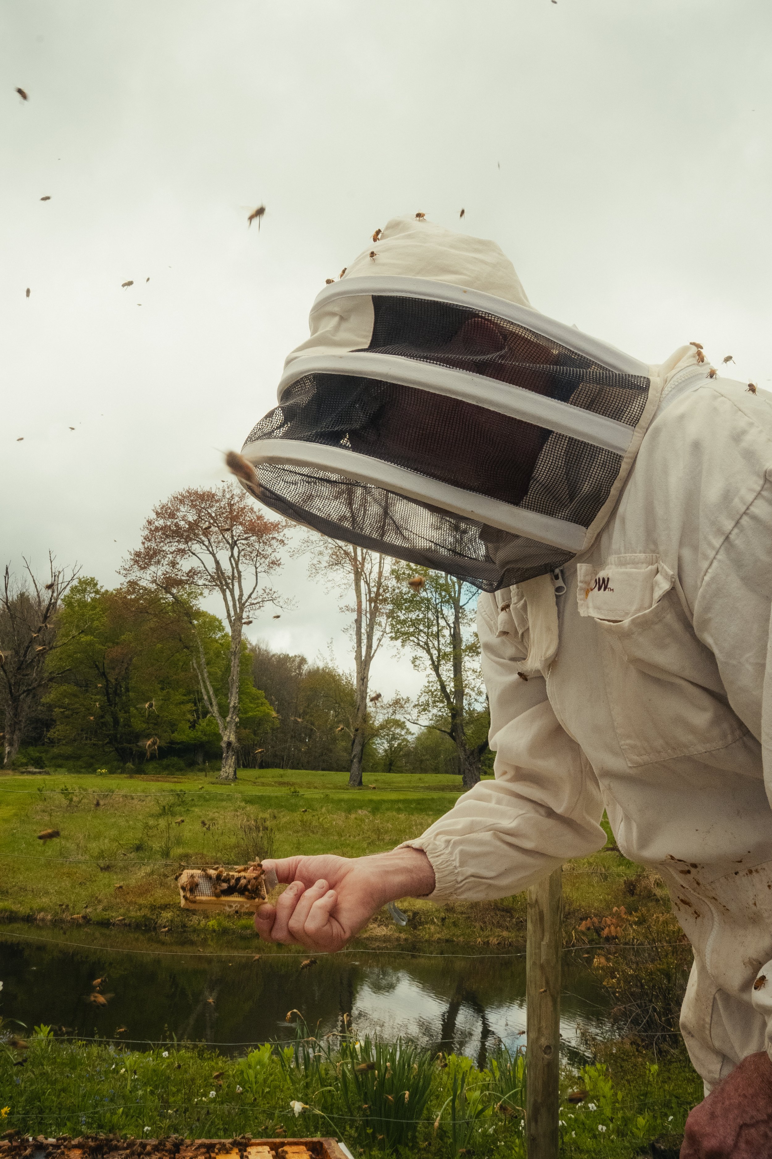 Honey & Hive-41.jpg
