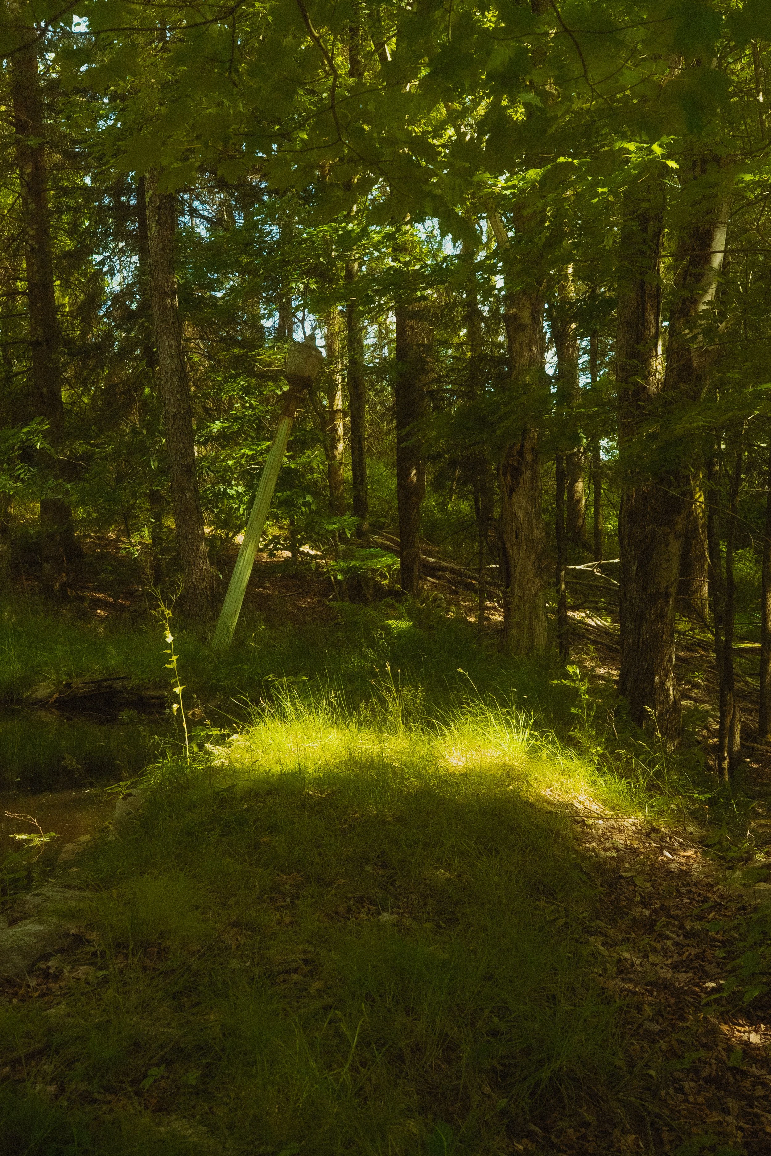 New Home-10.jpg