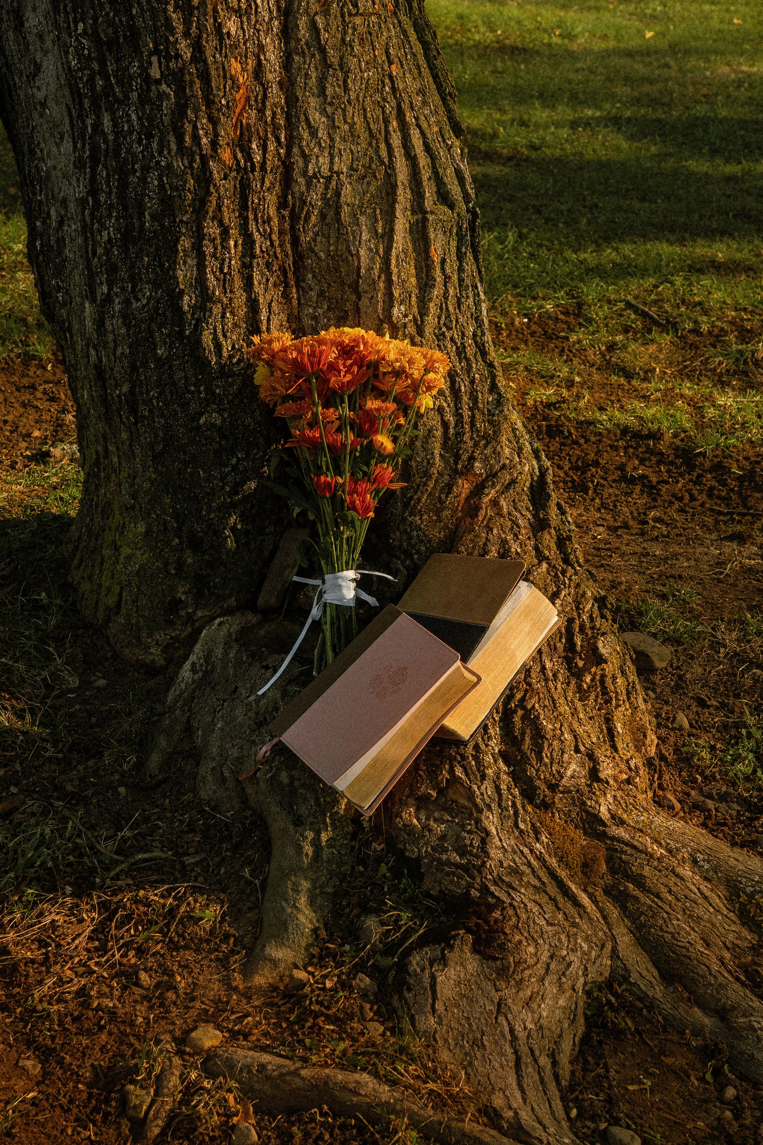 Joshua + Juliz-44.jpg