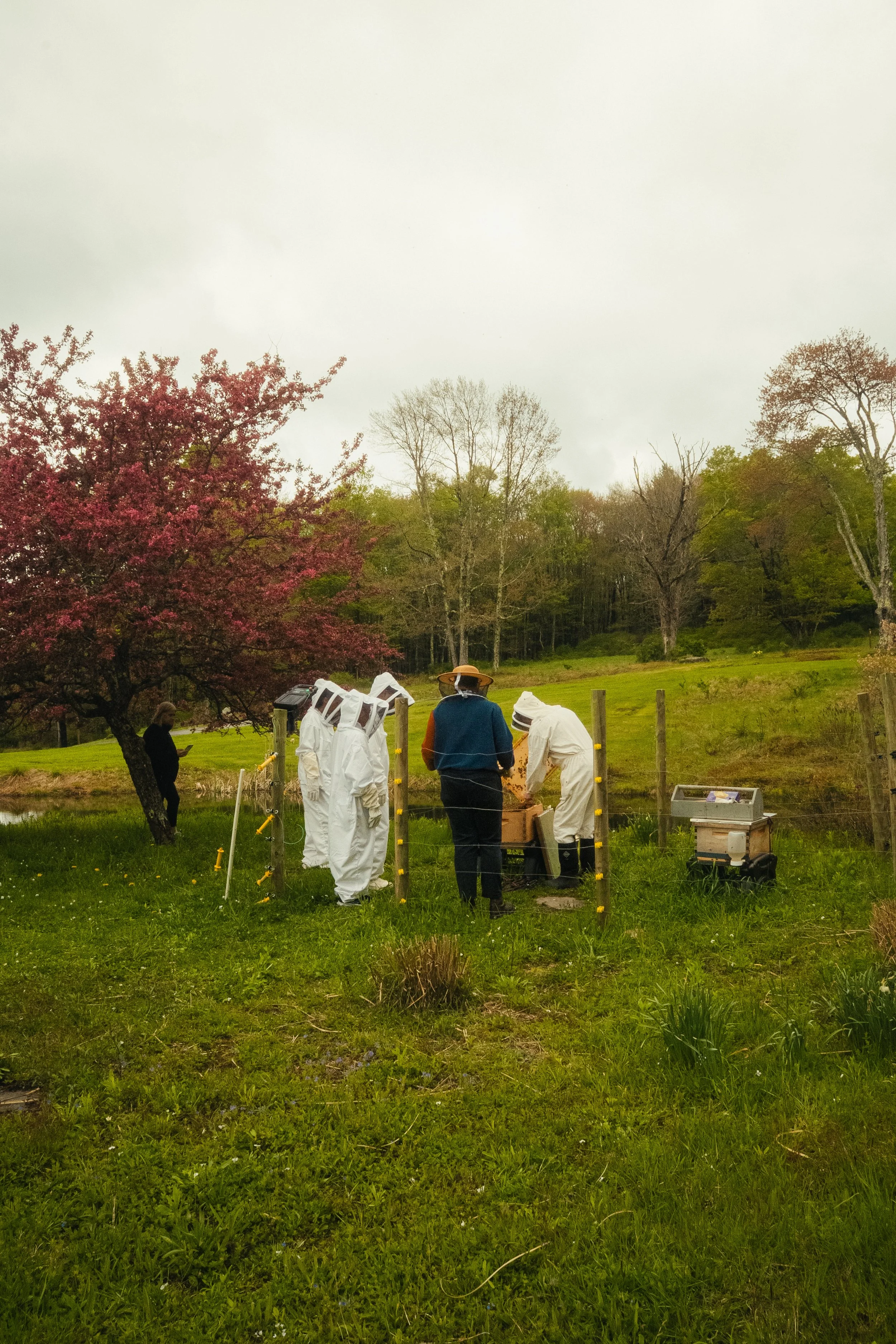 Honey & Hive-20.jpg