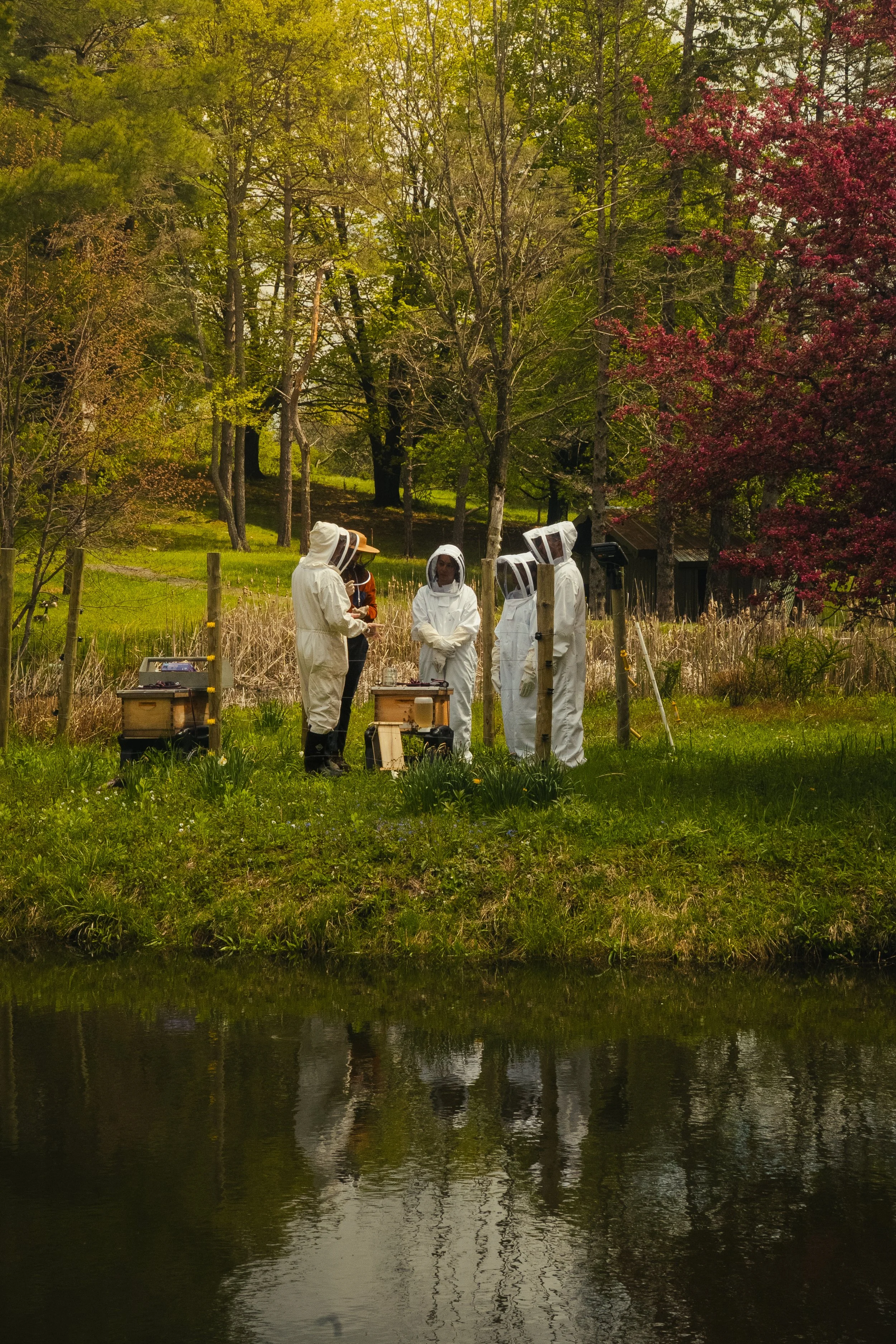 Honey & Hive-54.jpg