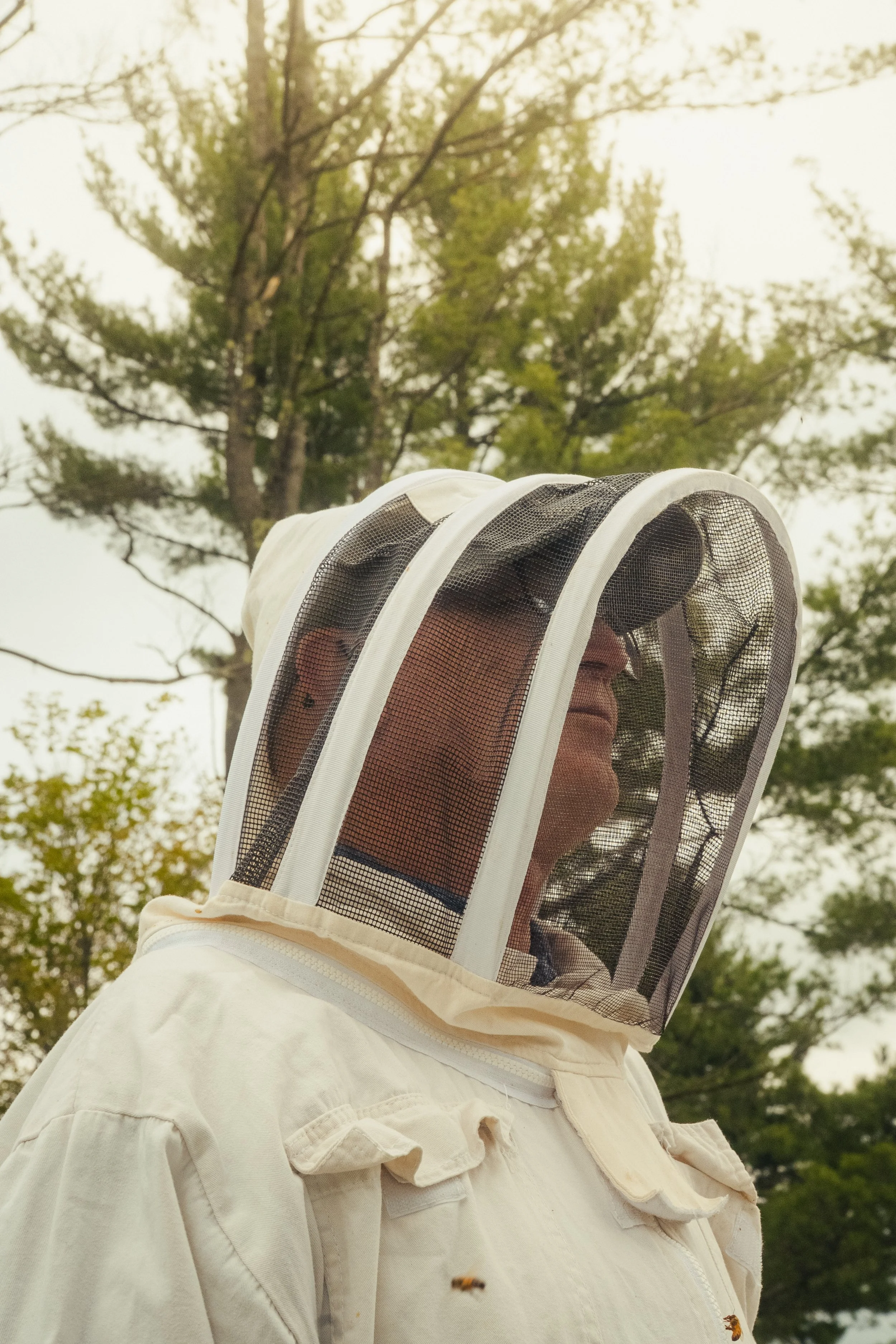 Honey & Hive-50.jpg