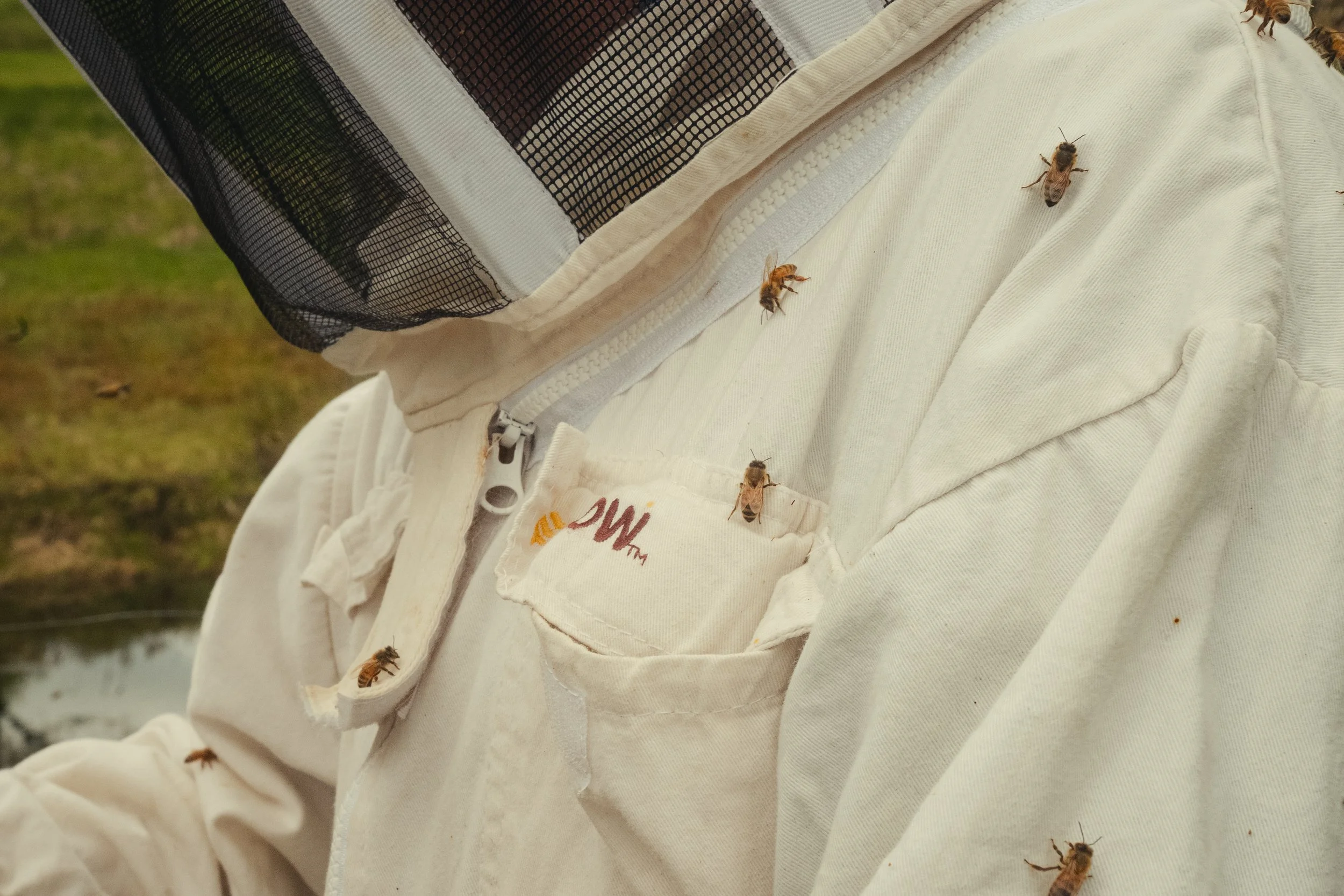 Honey & Hive-43.jpg