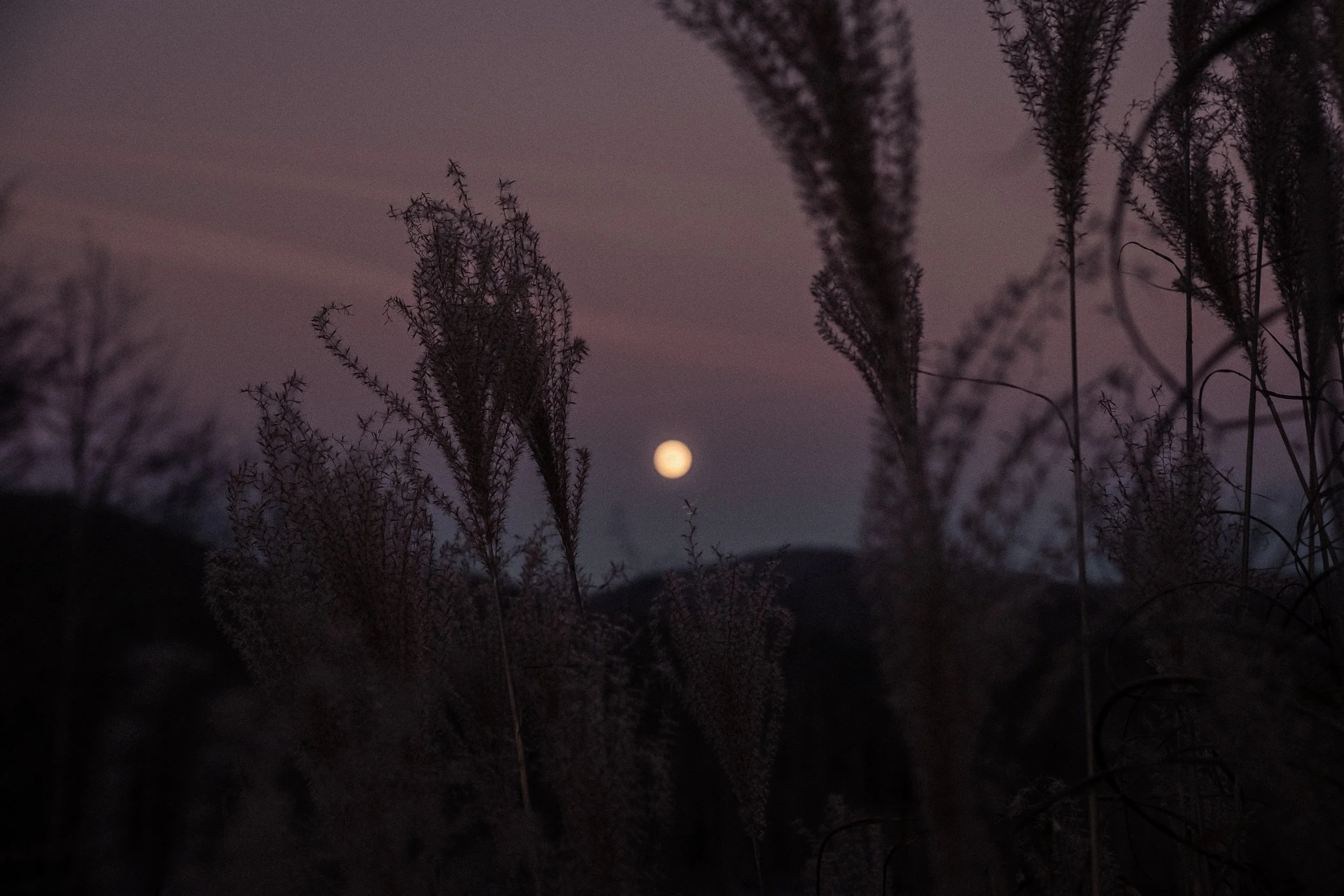 Moon-06.jpg