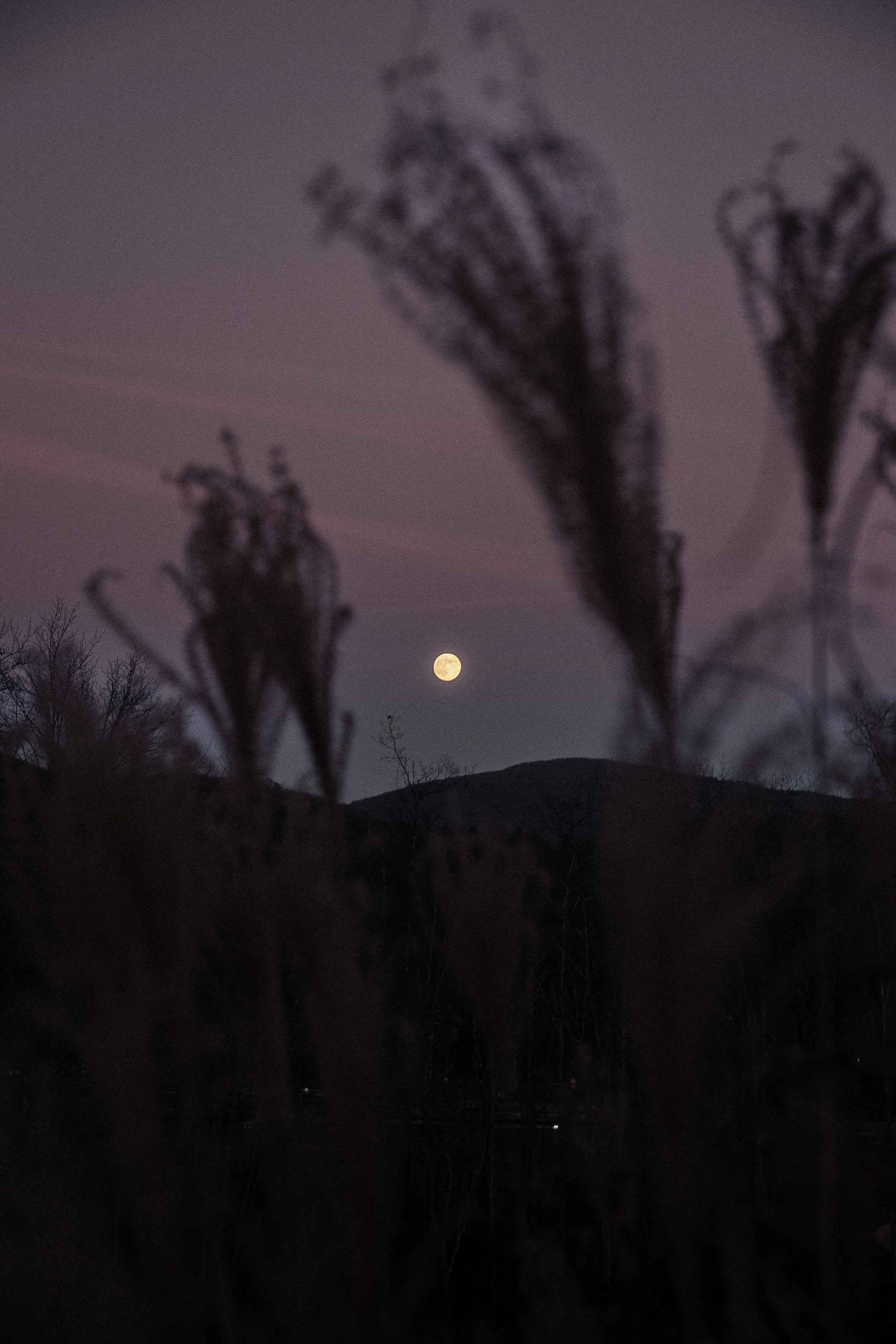 Moon-04.jpg