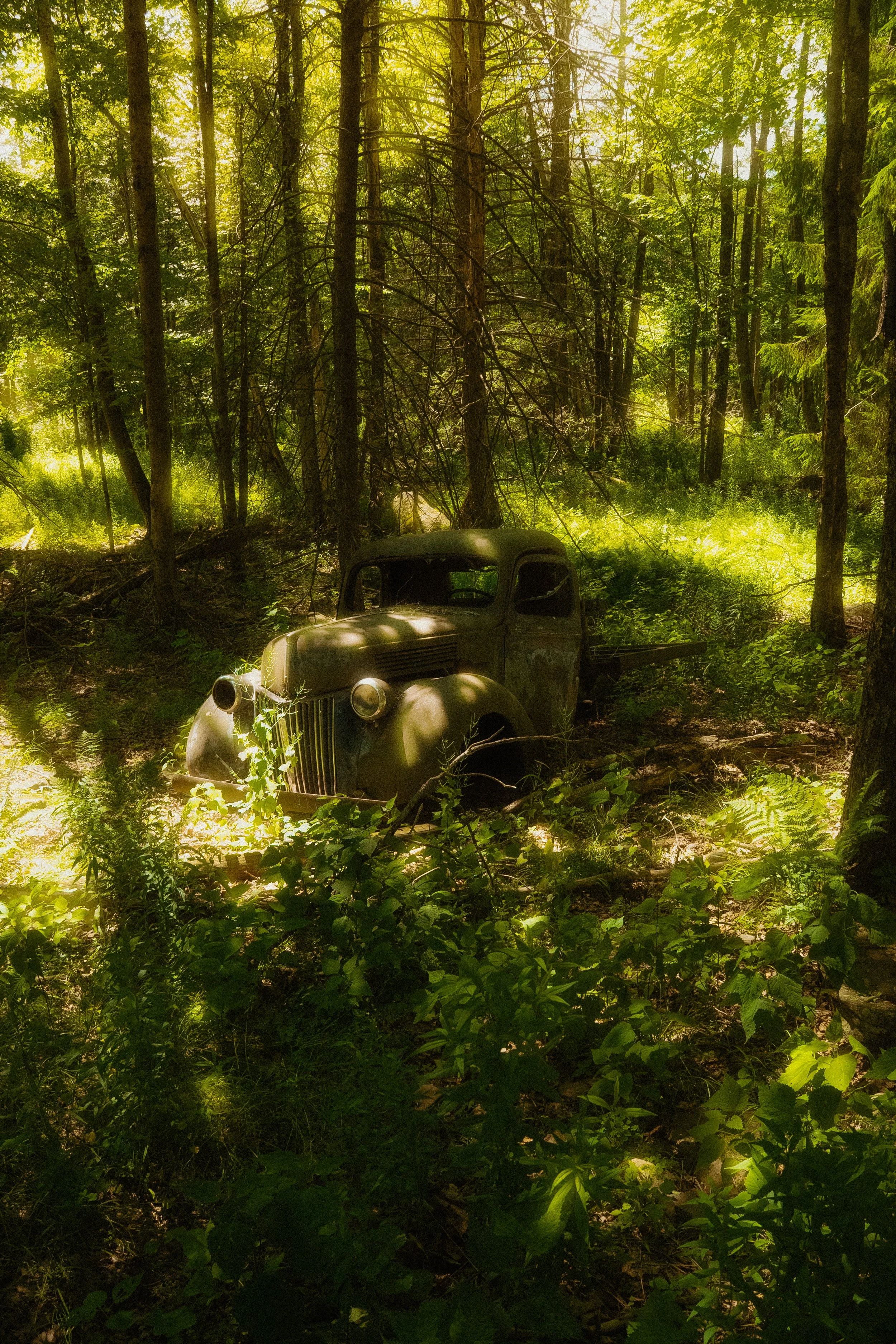 New Home-5.jpg
