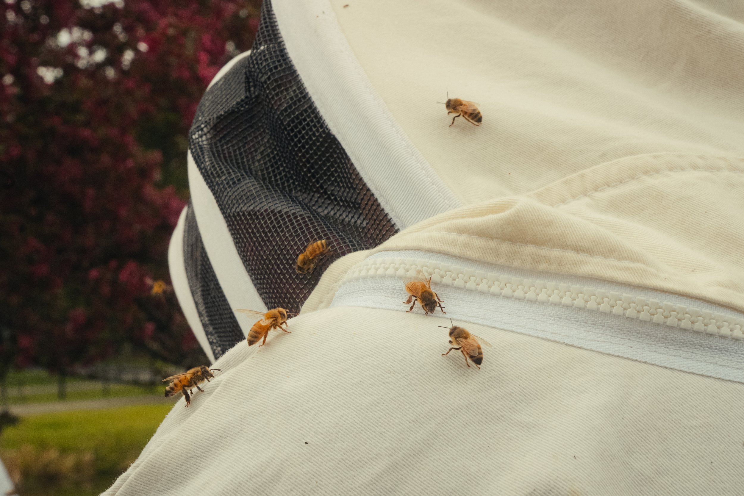 Honey & Hive-45.jpg