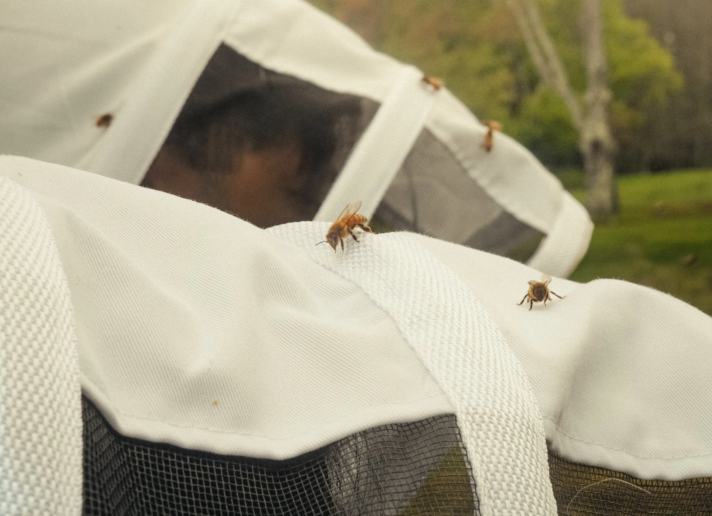 Honey & Hive-27.jpg