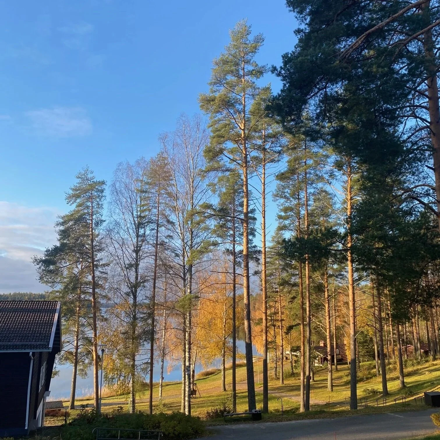 Scandinavian Prison Food: Sulkava Prison, Finland
