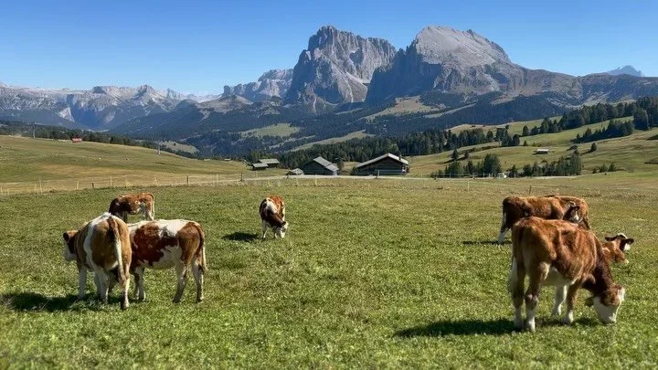 dolomites ambient sounds (8 hr loop)