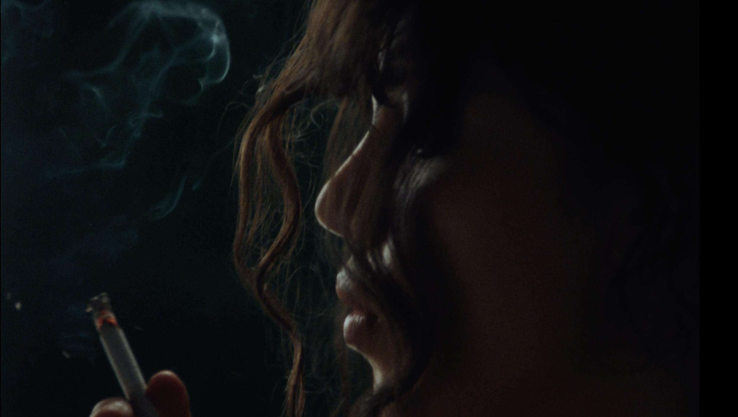 FLY ON THE WALL - Dir. Elizabeth Acevedo