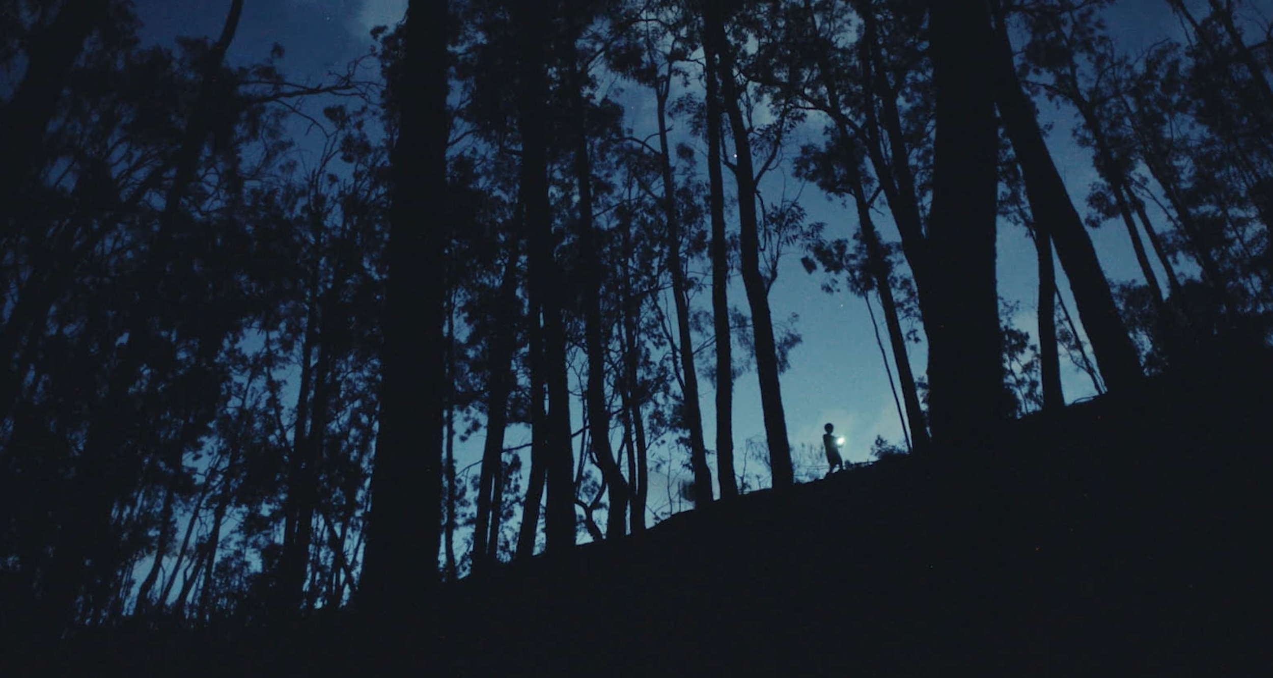 Sons are not Earthbound - Dir. Lauren Luke
