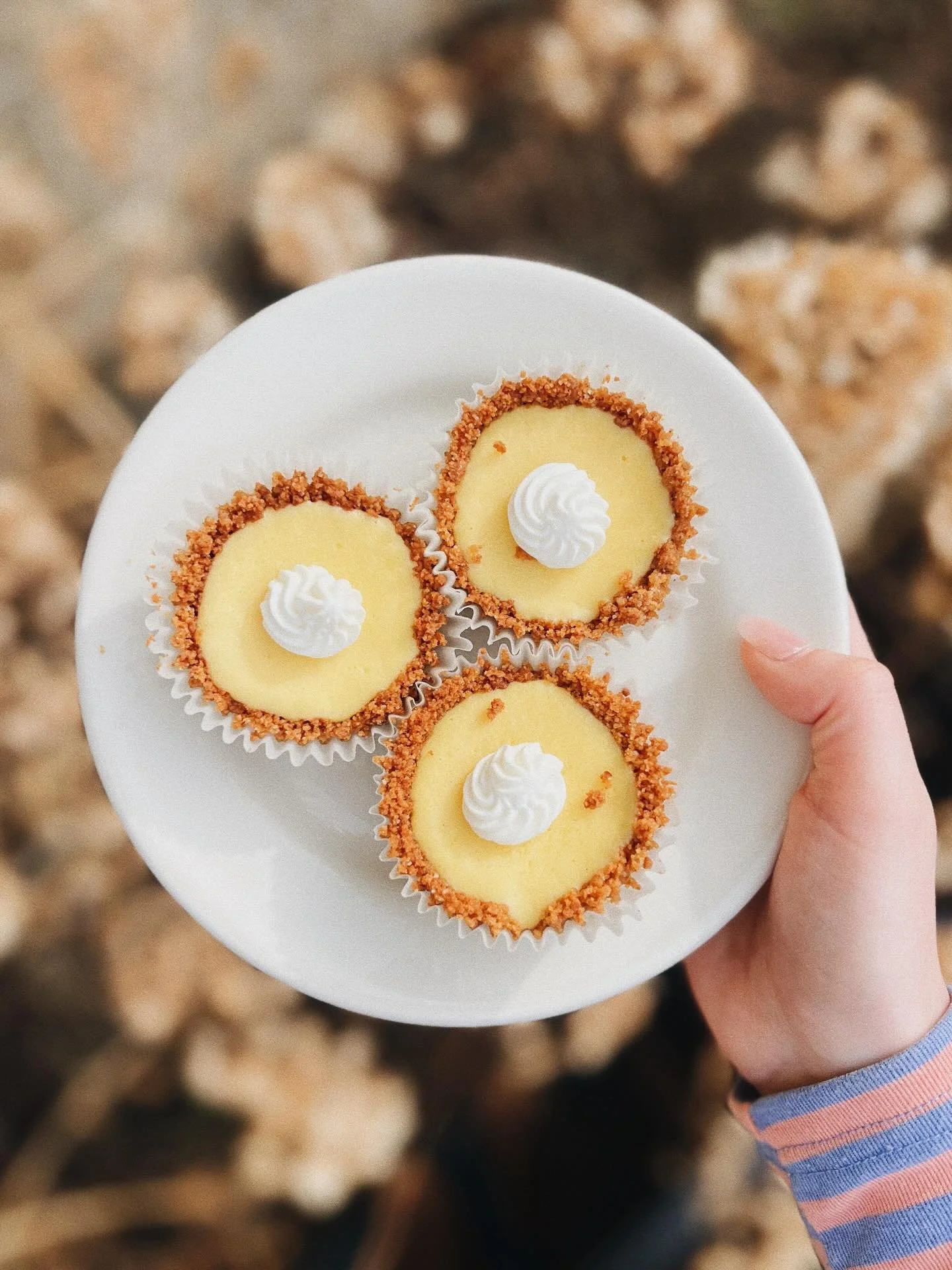 Key Lime Pie, but bite sized! 🍋&zwj;🟩
&bull;
Come and grab them while you can!