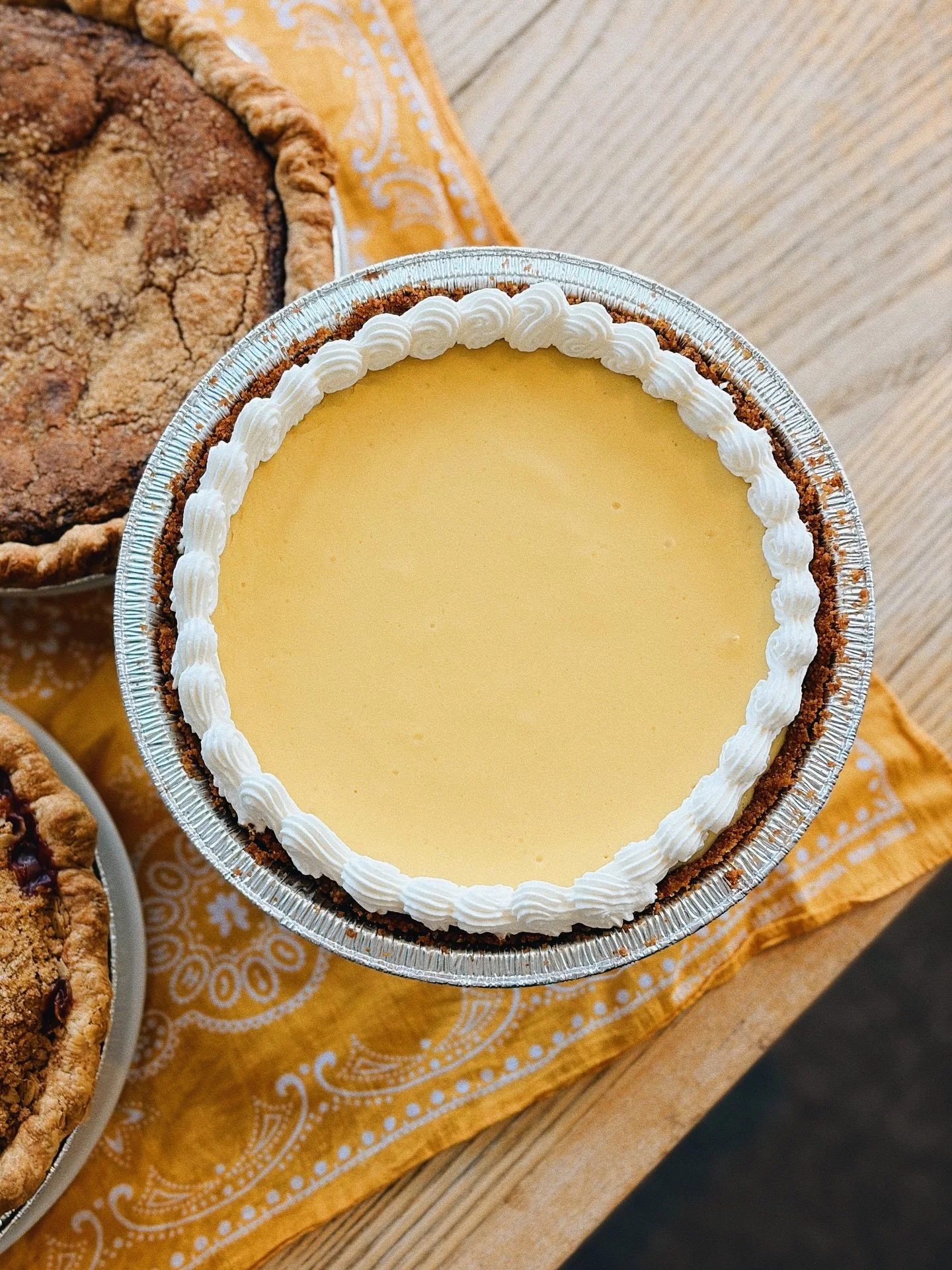 Lemon custard having her moment 🍋✨