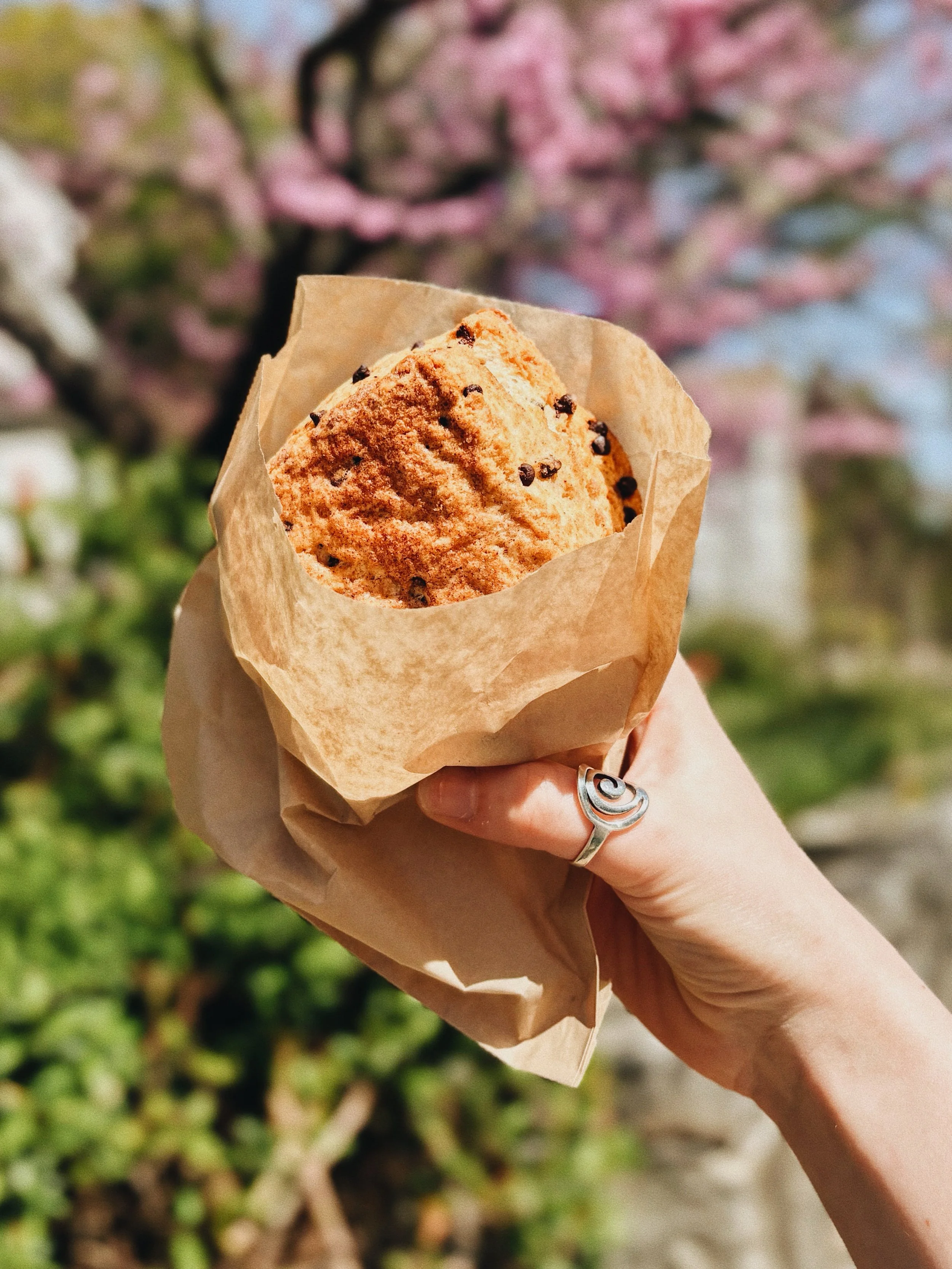 Cinnamon chocolate chip scone.. need we say more? 😍
