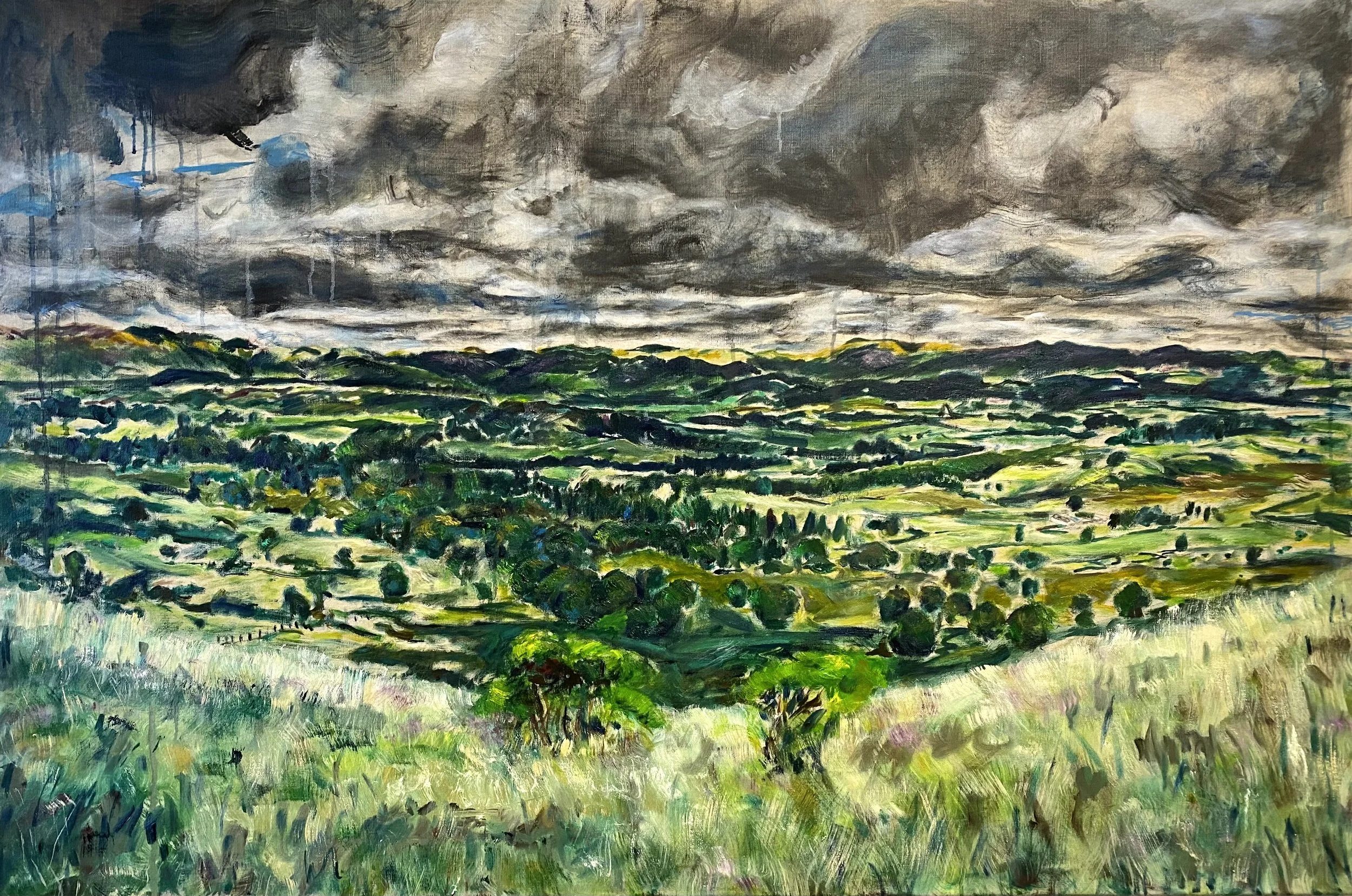 Rain Plain. Oil on linen. 120 x 80cm.