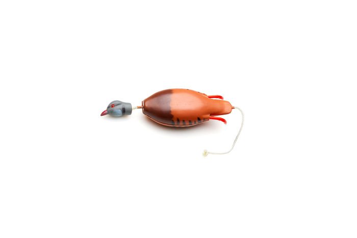 Partridge Dokken