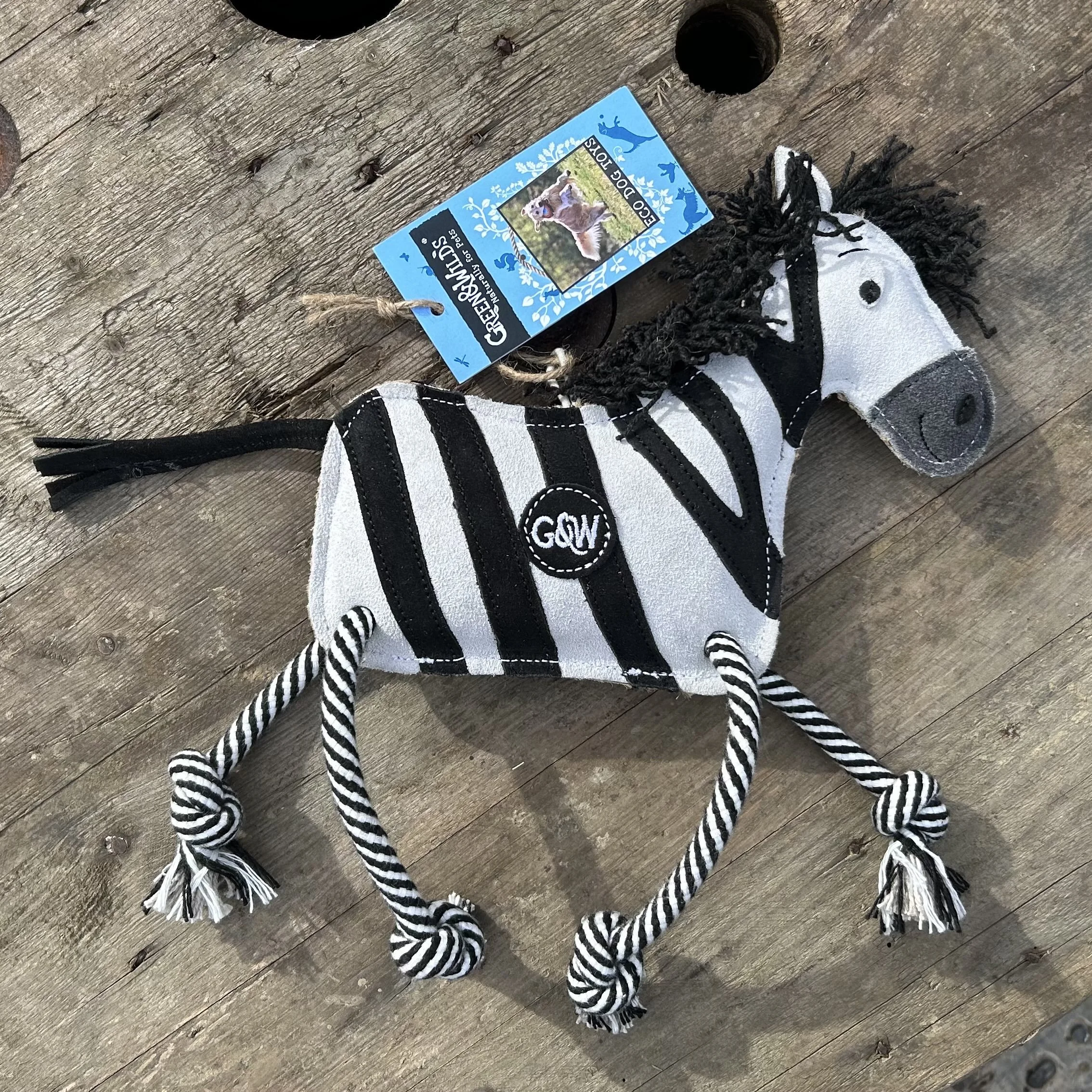 zebra.jpg