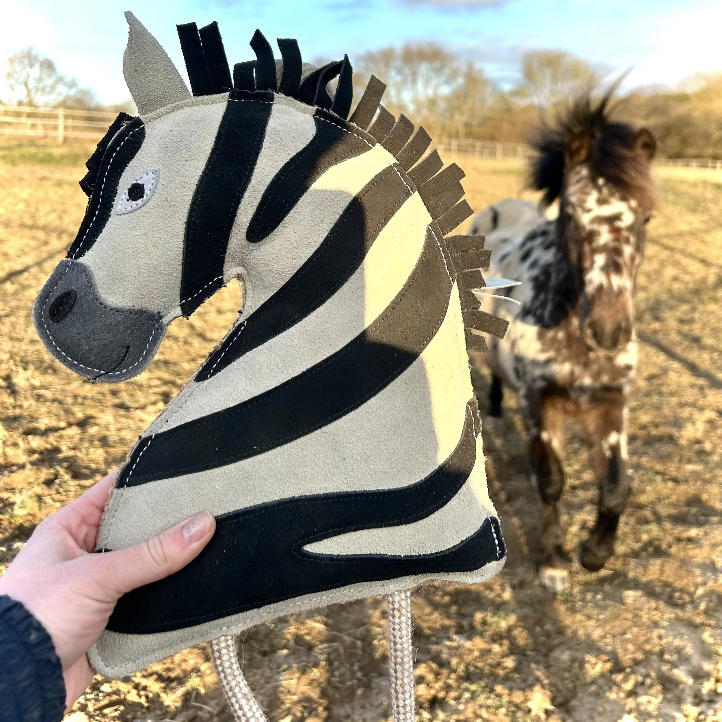 Ziggy the Zebra