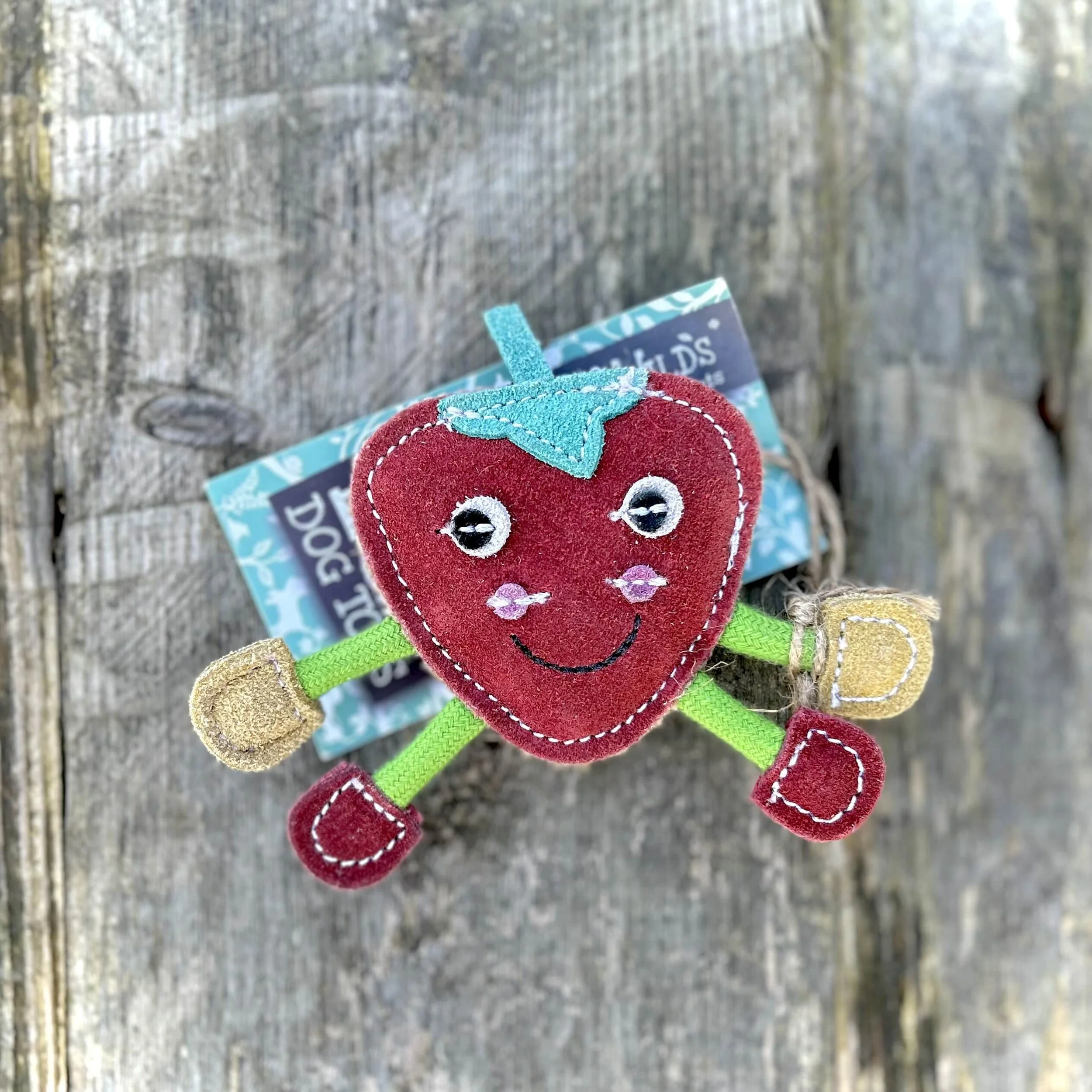 Steve the Strawberry1.jpg