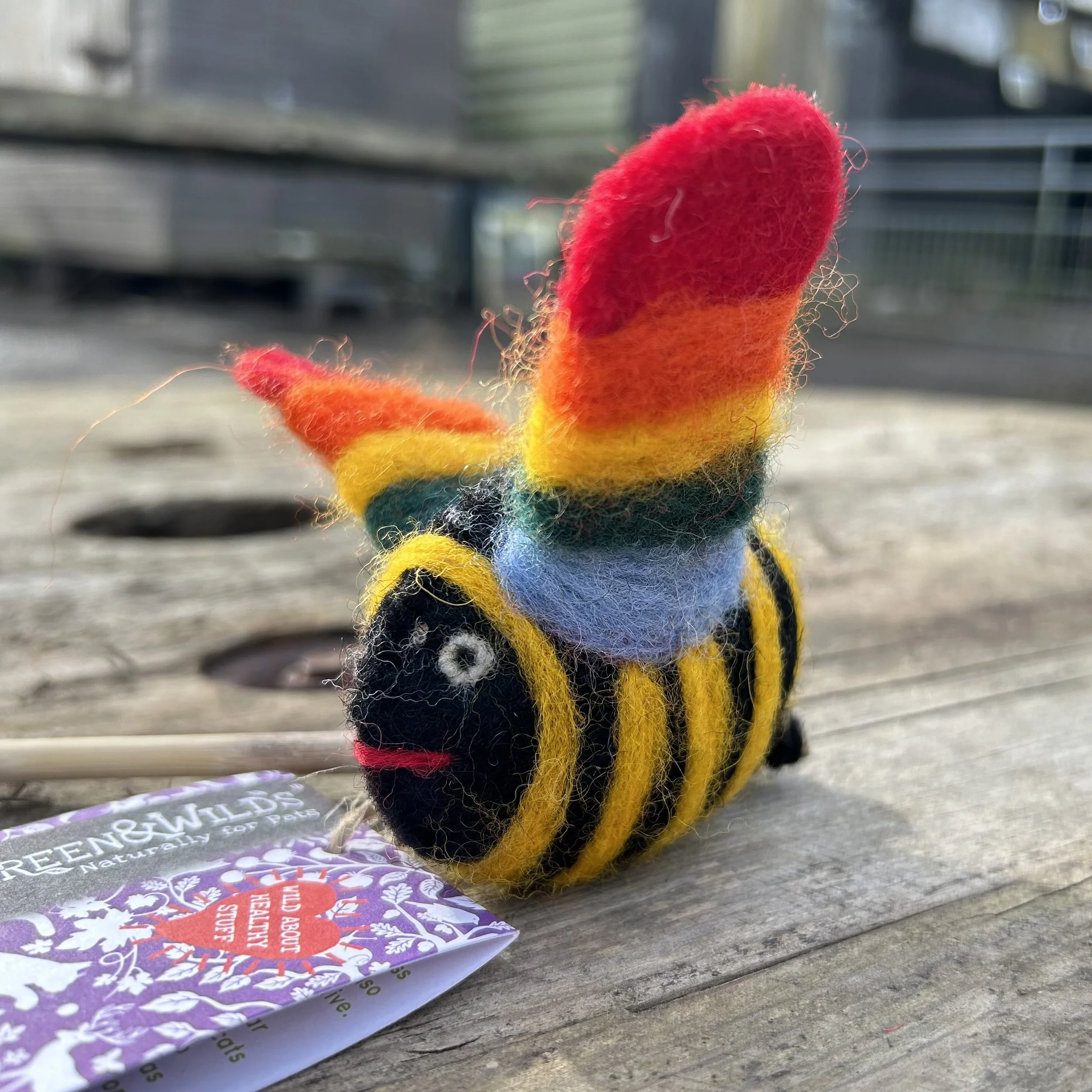 cat gay bee3.jpg