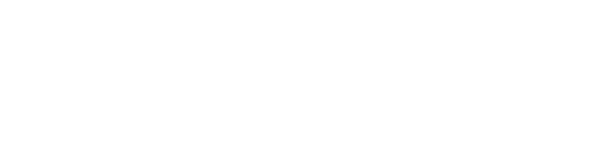 11VEN Global