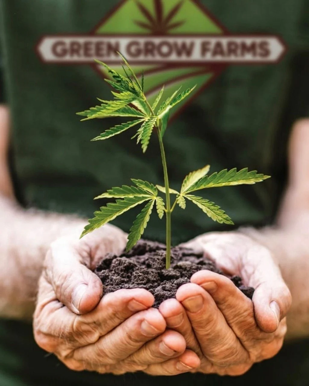 Green Grow Farms