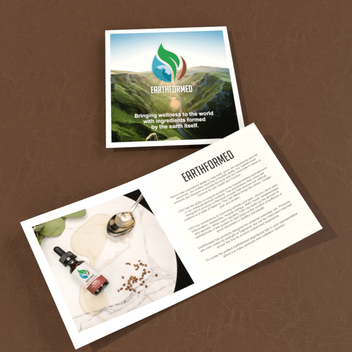 Booklet layout. Designed to help small retailers to better understand the product line and select the right lines of items for their location. This could also be displayed in a shelf stand for shoppers to take or brought to trade shows for an elevate