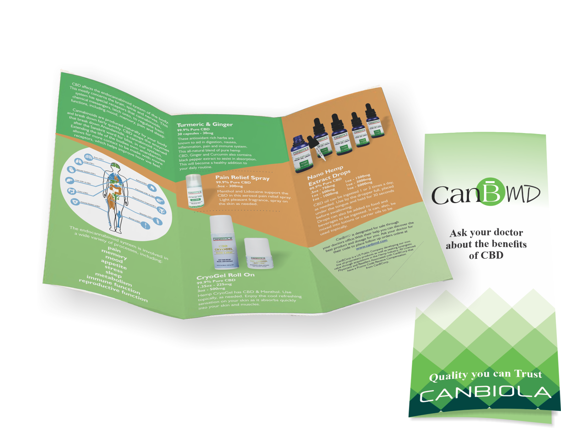 Trifold pamphlet design. For tradeshows and  the sales teams use. A quick guide to the new medically facing CBD brand and its products. Also has a quick rundown of the basics of CBD for anyone new to the product type, helping to entice previously unt
