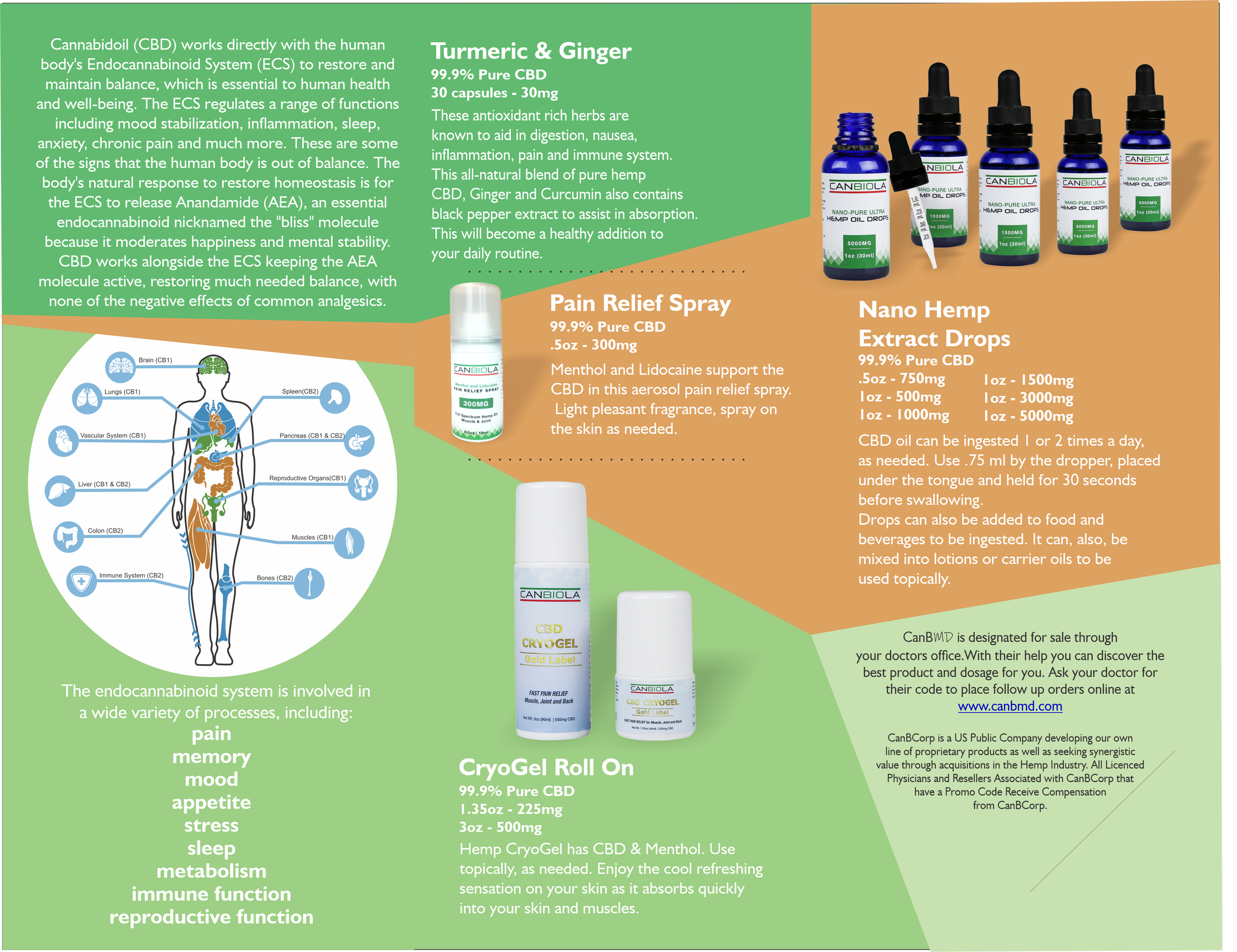 Interior layout for salesman pamphlet.