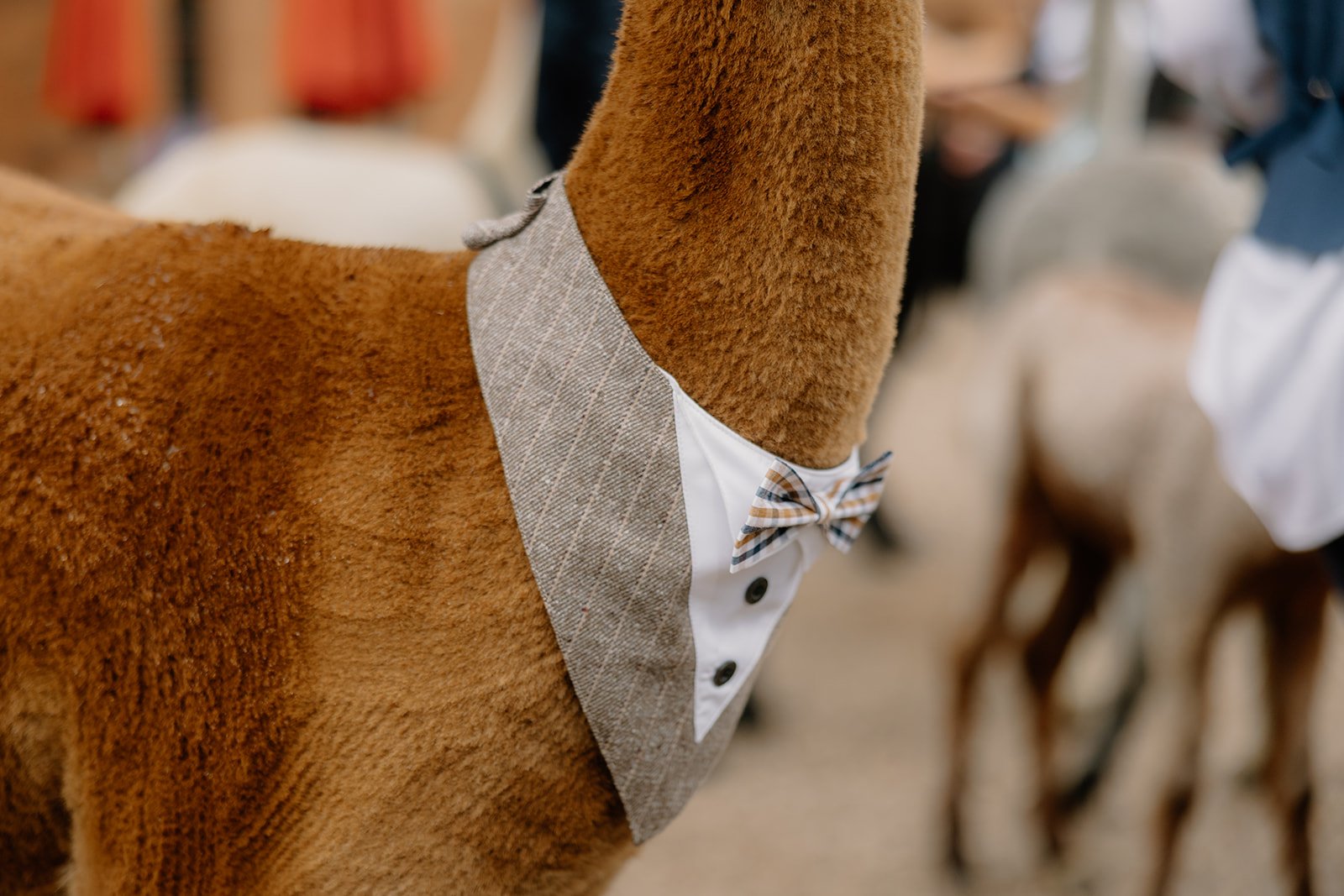Patrick Alexander Weddings-779.jpg