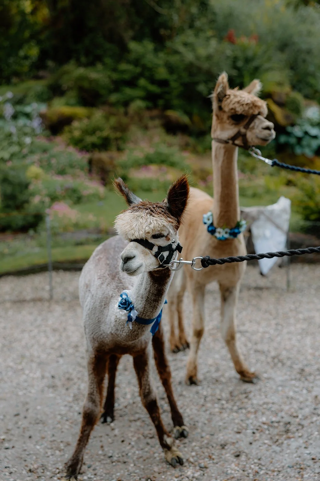 Patrick Alexander Weddings-835.jpg