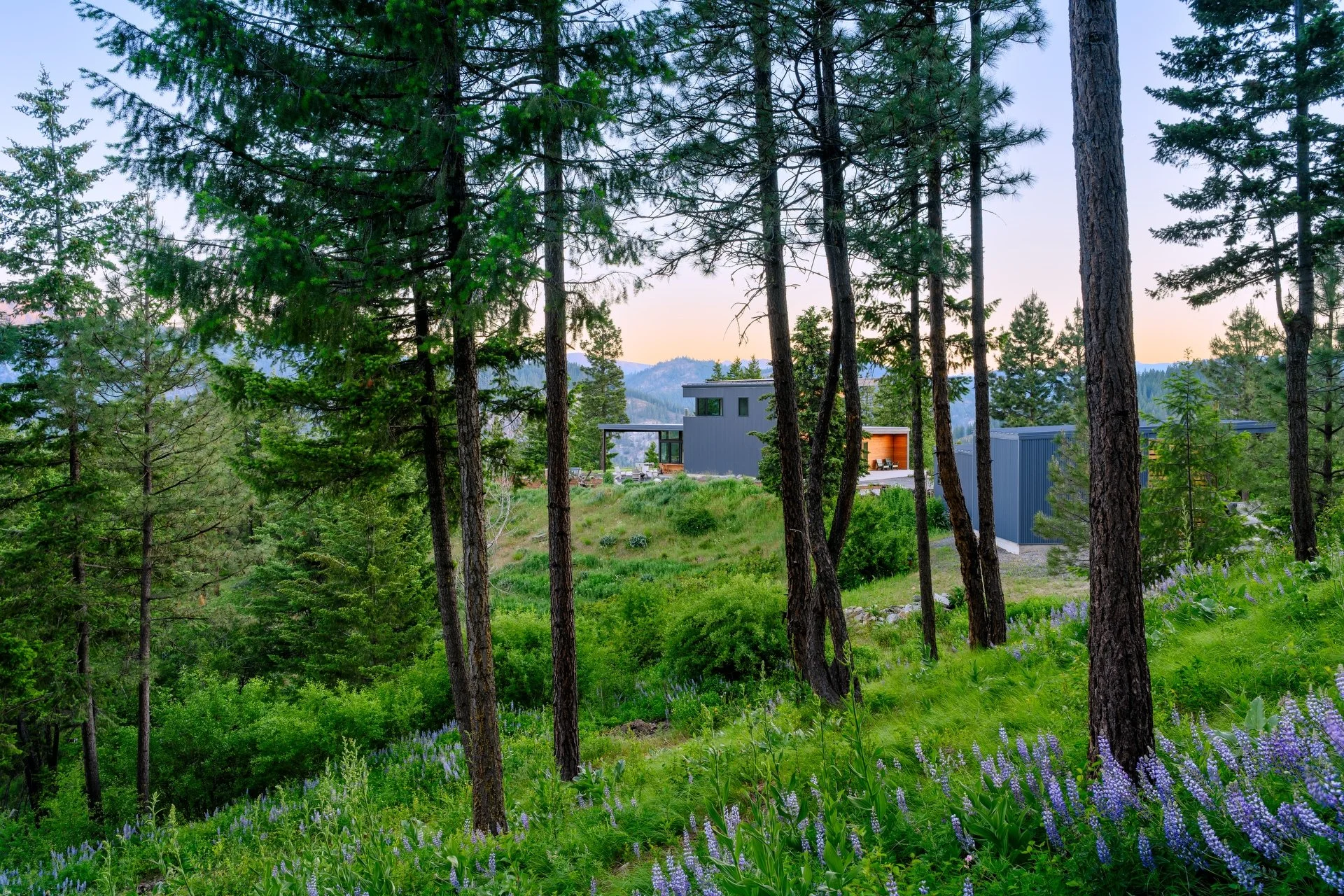 ALPENVIEW HOUSE