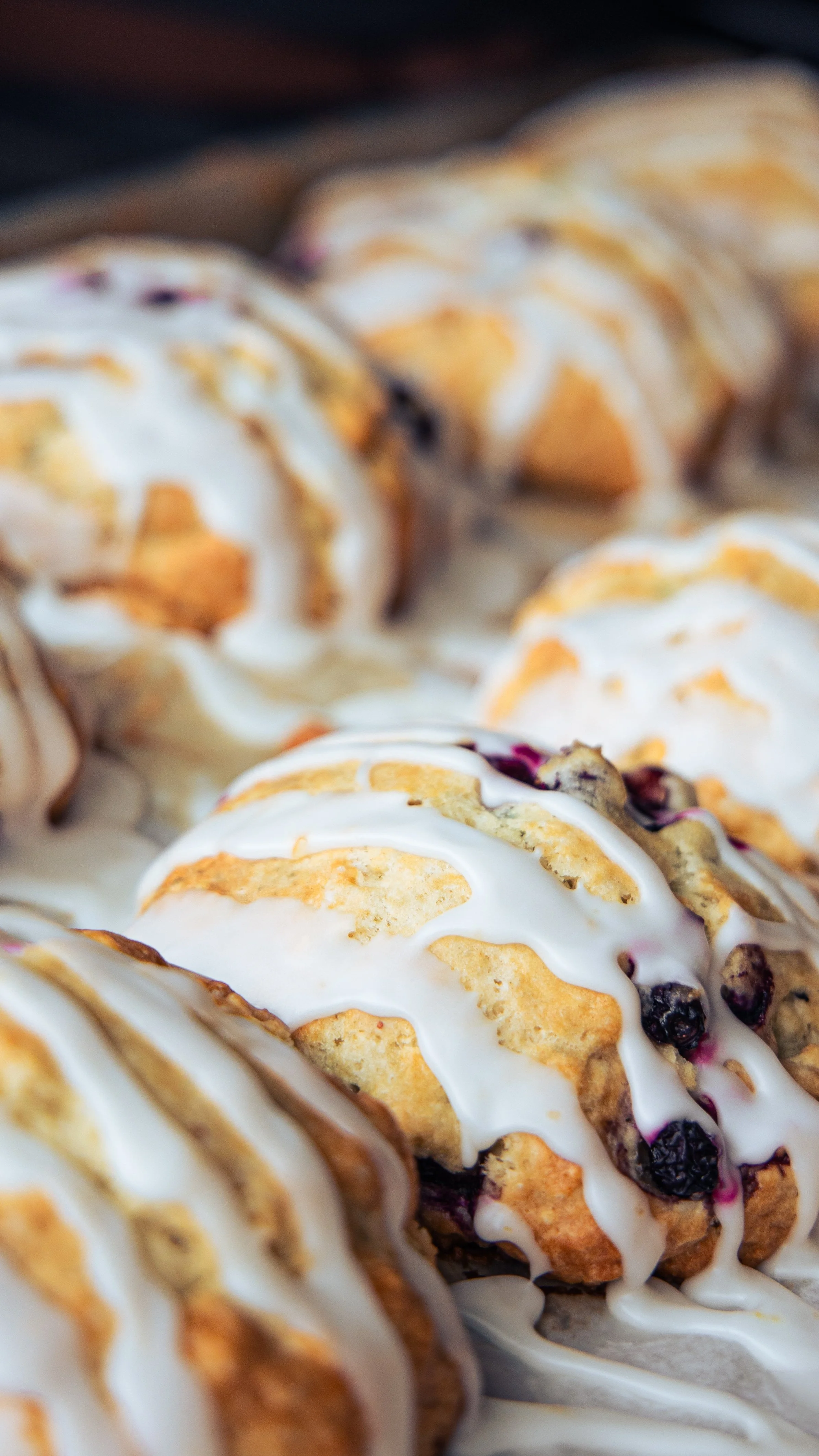 blueberryscone-1.jpg