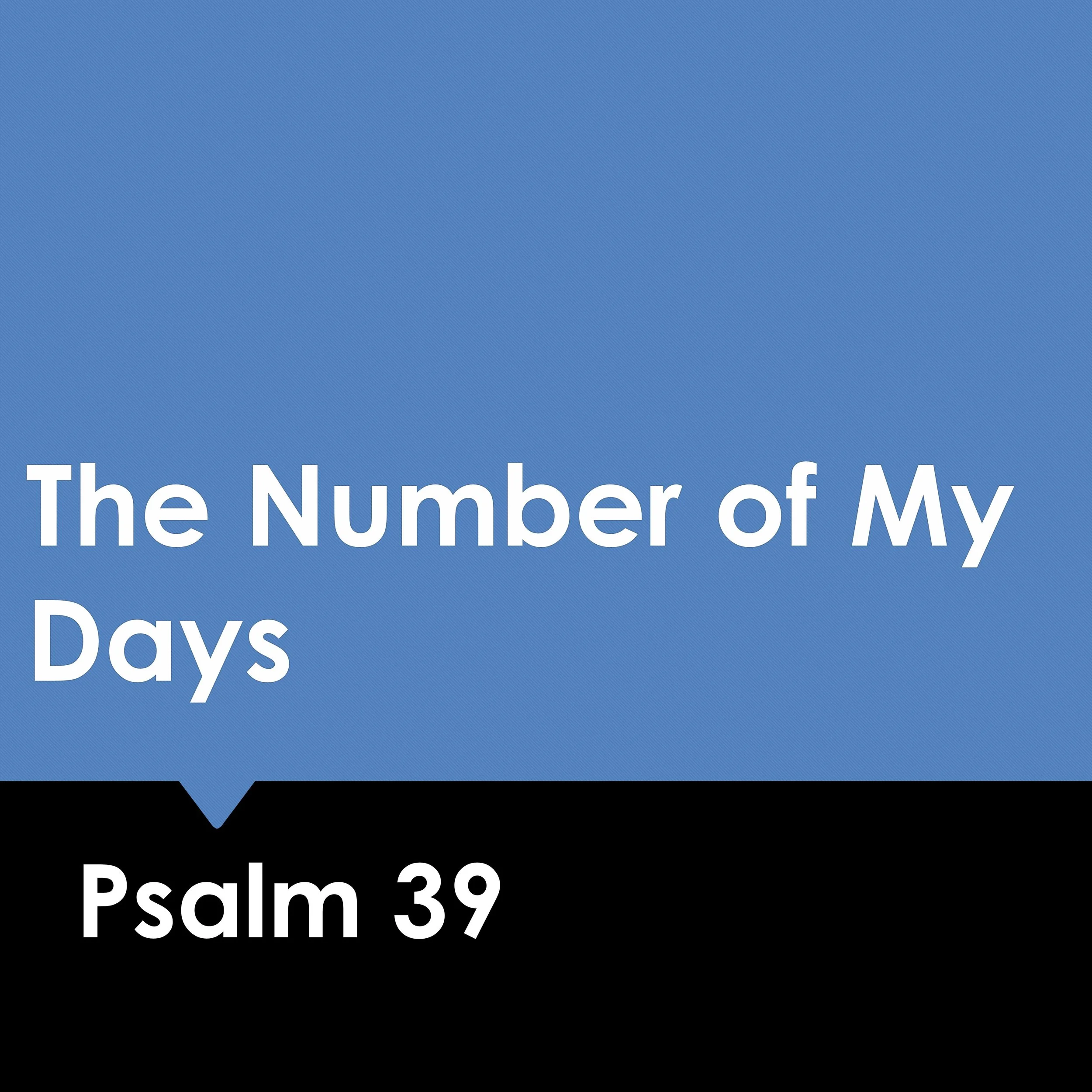 The Number of My Days