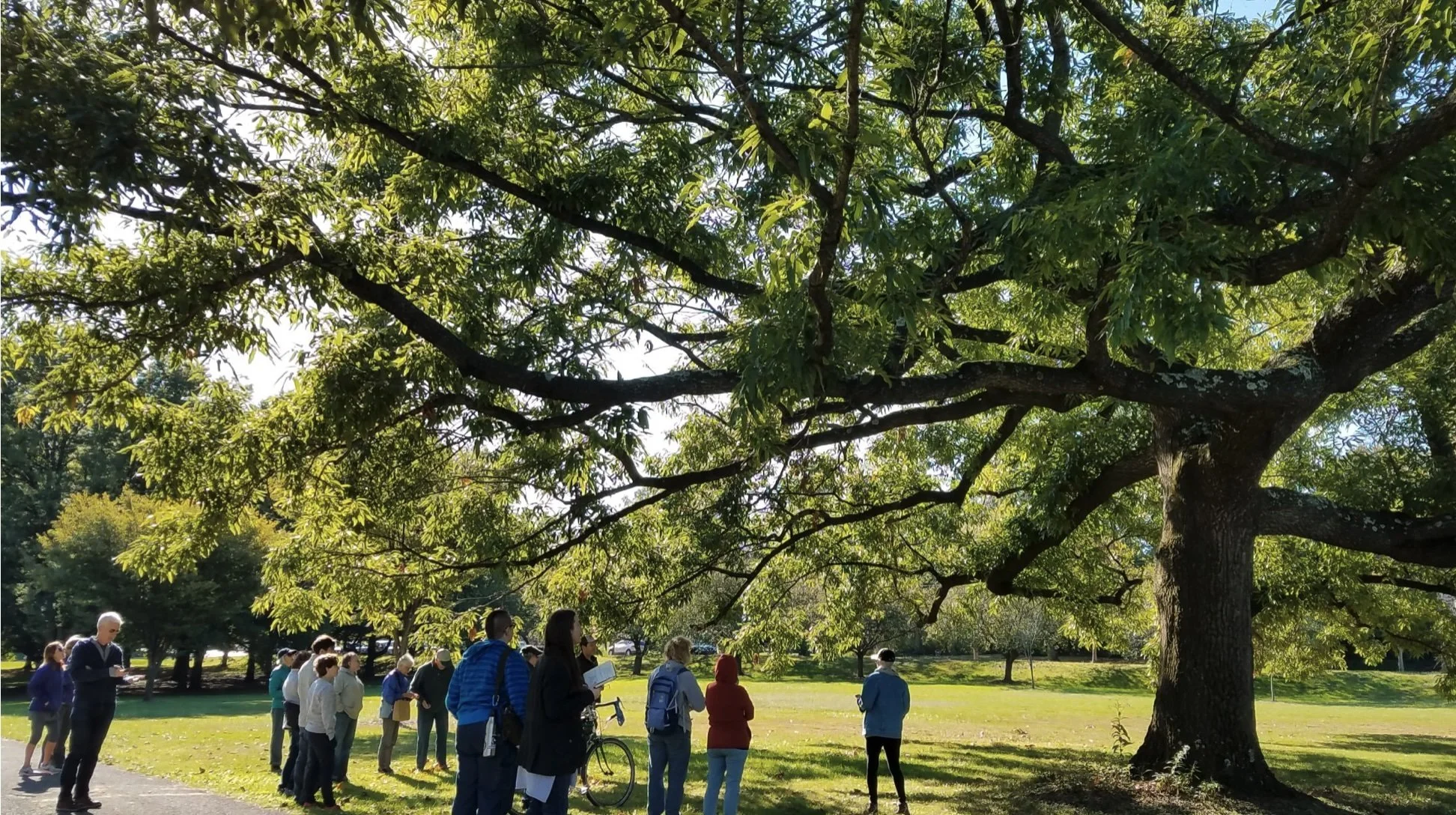 Take a Tour of the Arboretum at Westinghouse Park