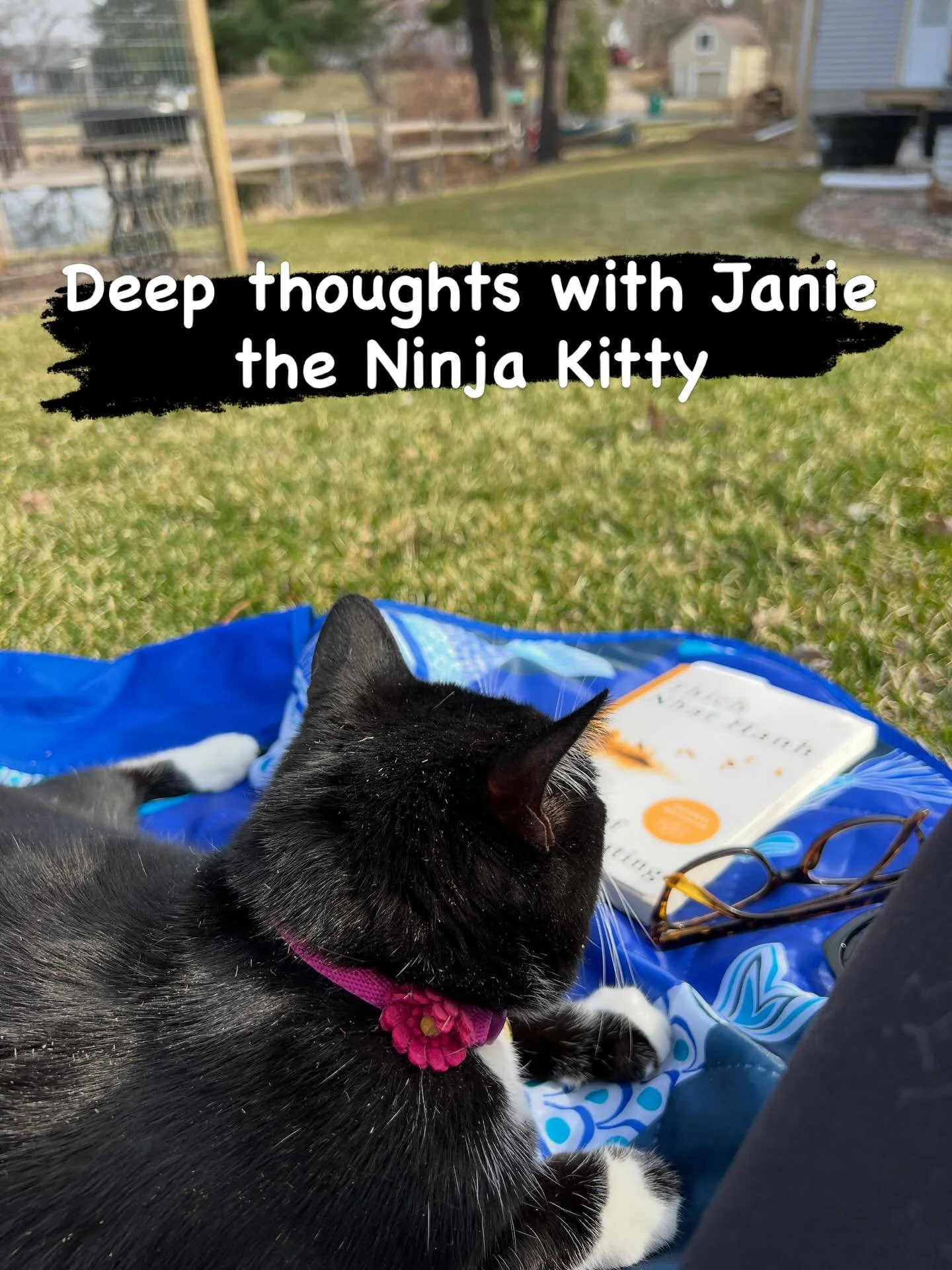 Spending some time this afternoon soaking up some sun with Janie the Ninja Kitty. We are reading &ldquo;The Art of Communicating&rdquo; by Thich Nhat Hahn, and Janie has some very insightful feedback for me! 😆

What else is there to do on a 70 degre