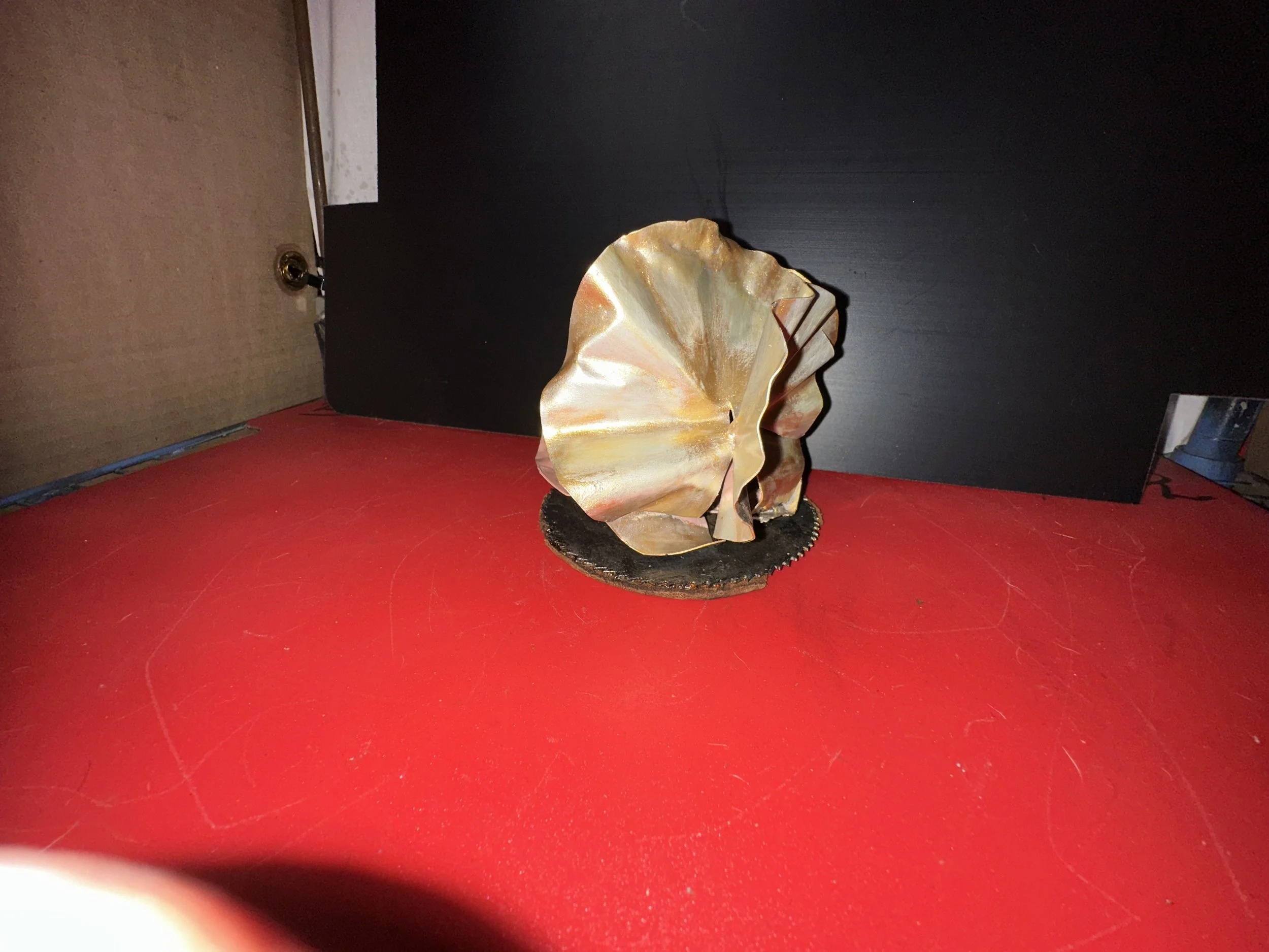 Oyster w/ Pearl
