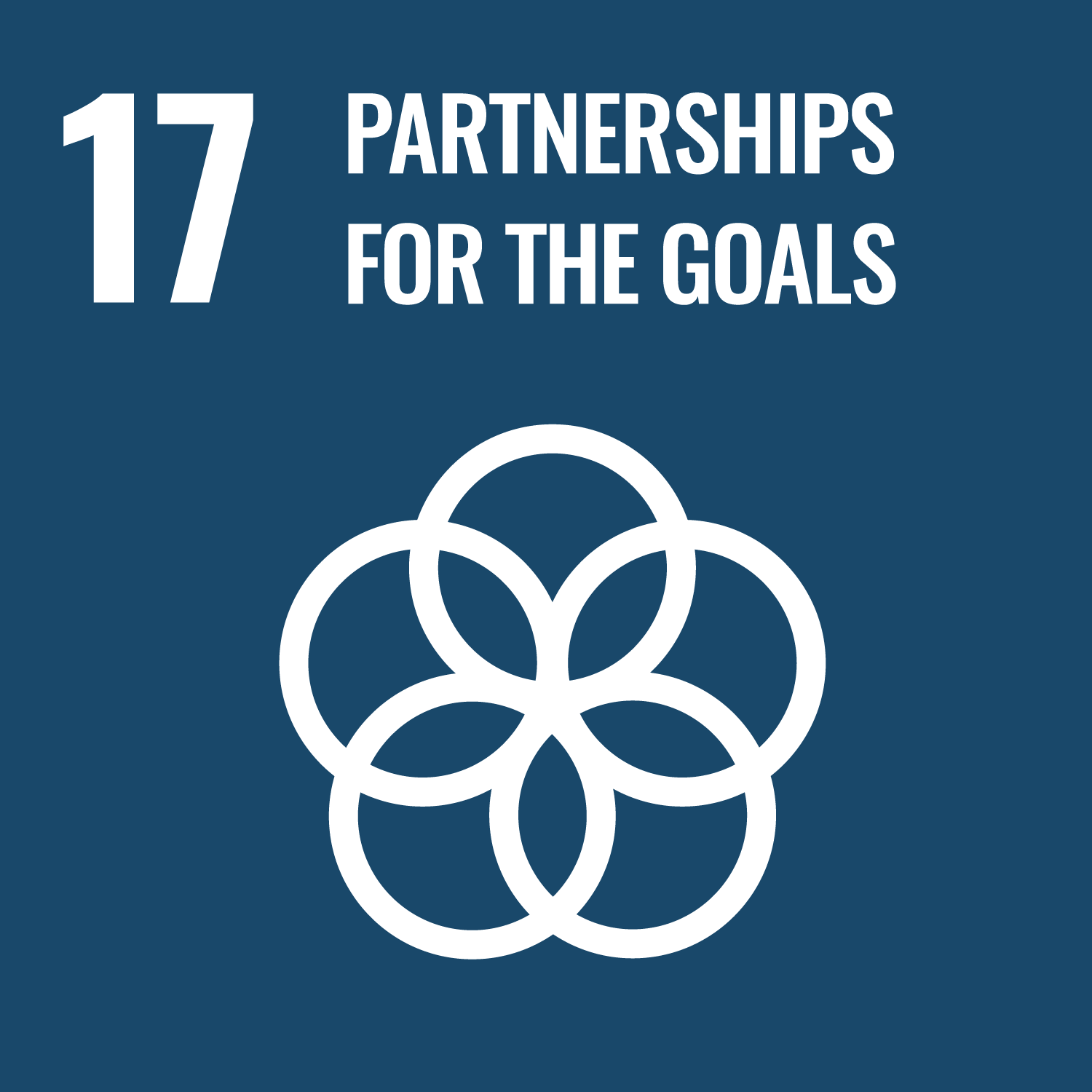 Graphic illustrating SDG 17: Partnerships for the Goals, featuring interconnected circles forming a flower-like shape on a dark blue background.