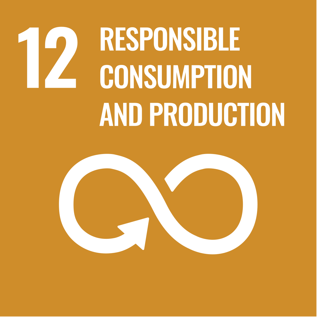UN Sustainable Development Goal 12 poster with a brown background, white number 12, bold white text saying 'Responsible Consumption and Production,' and an infinity symbol with arrows.