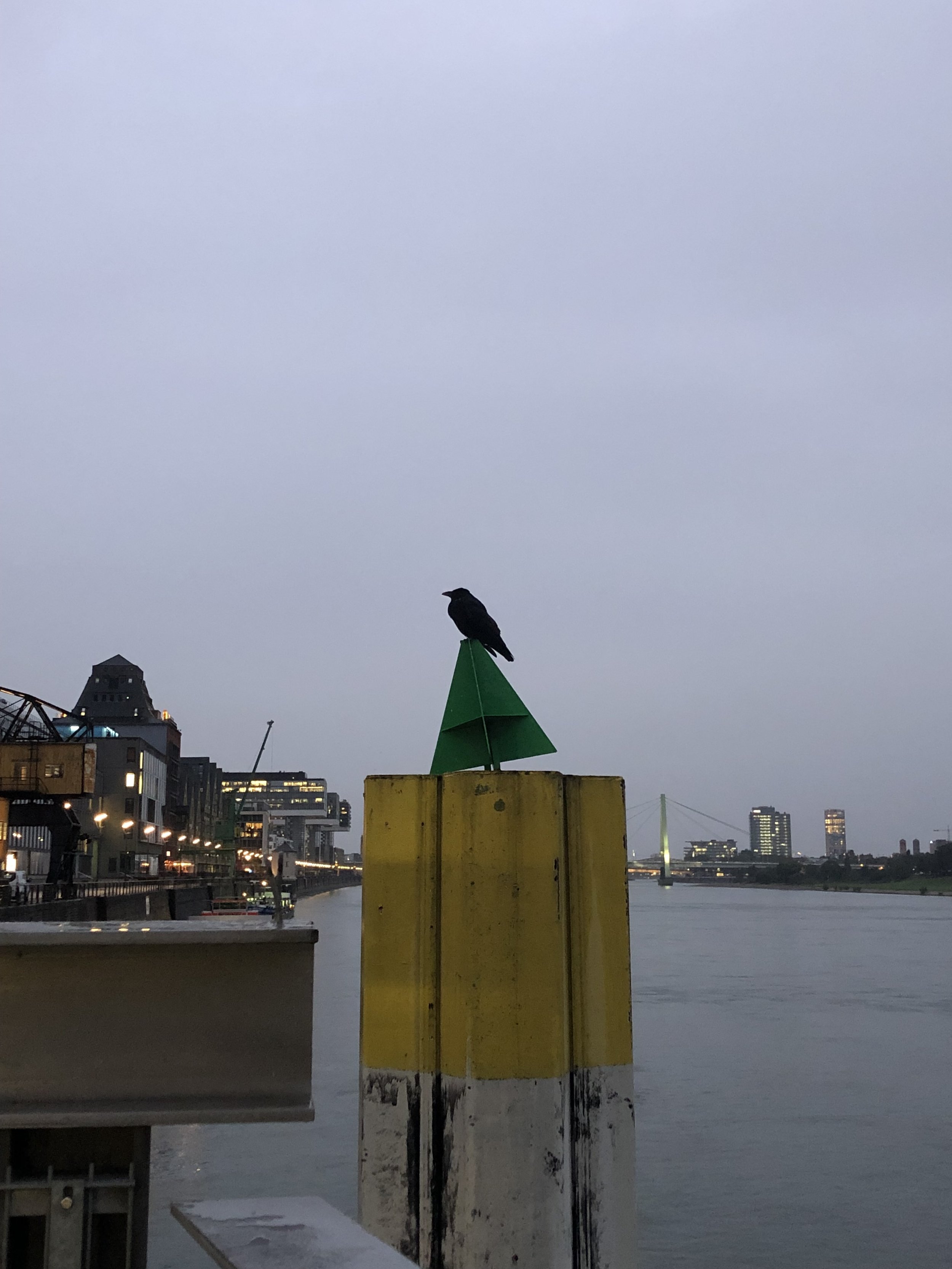 Ode an die Freude 