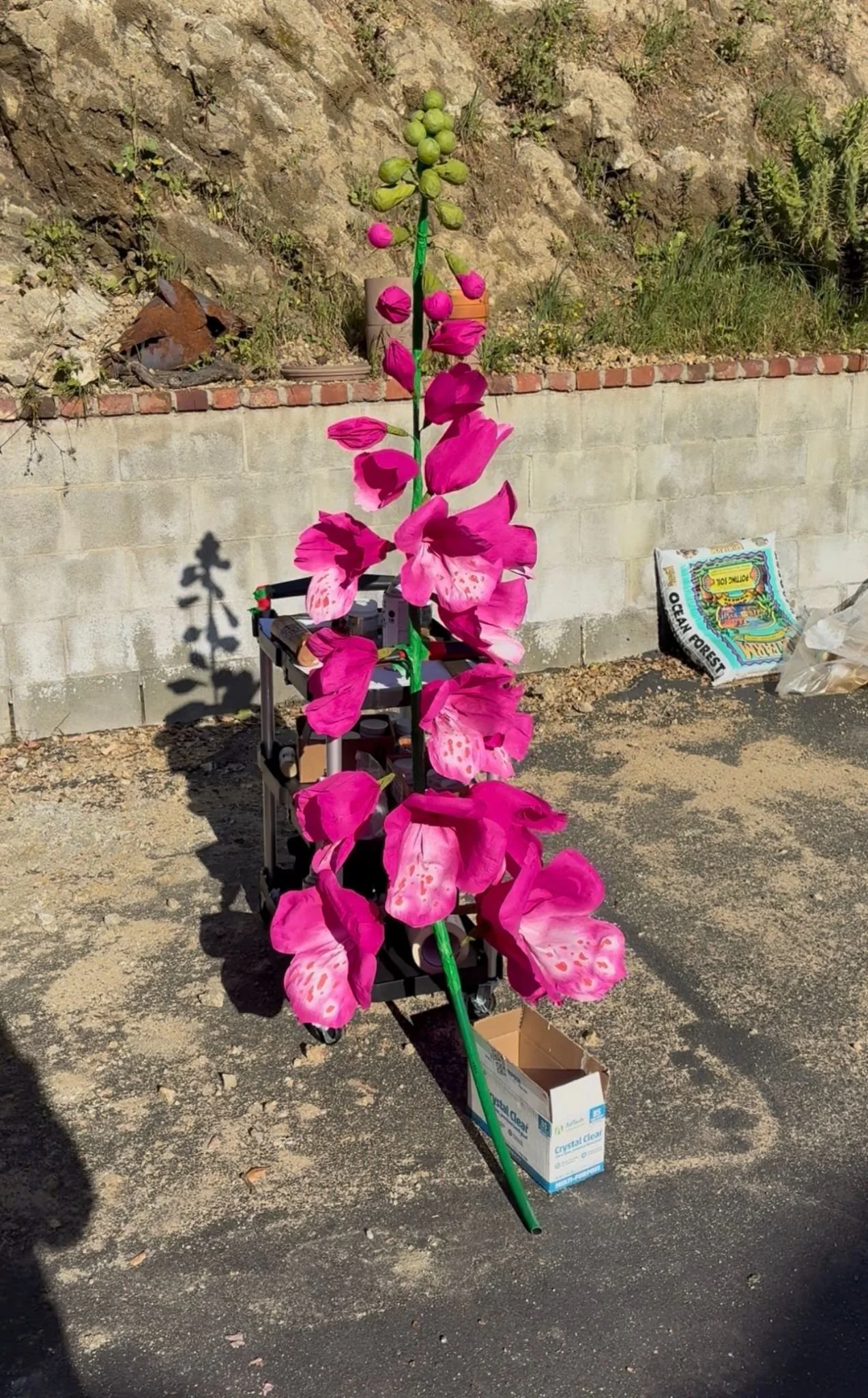2b781fcf-bfdb-49c4-8fd7-b4d79c73a0cd.jpg